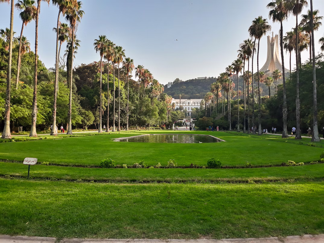 A lush green garden flanked with palm trees in the center of Algiers