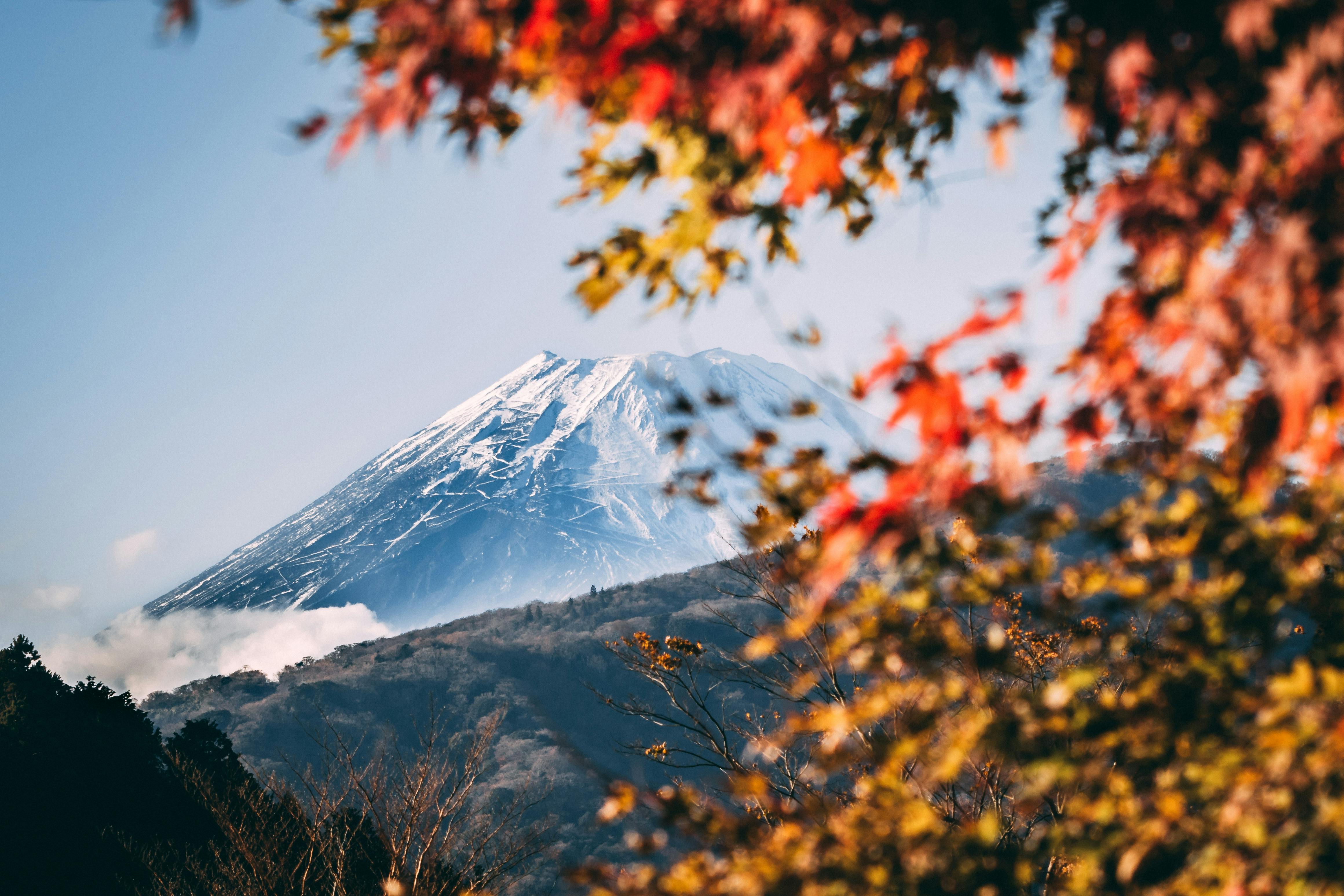 Im Fokus steht im Hintergrund der Vulkan Fuji mit seiner schneebedeckten Kuppel. Im Vordergrund sind unscharf rote und orangene Herbstblätter zu erkennen.