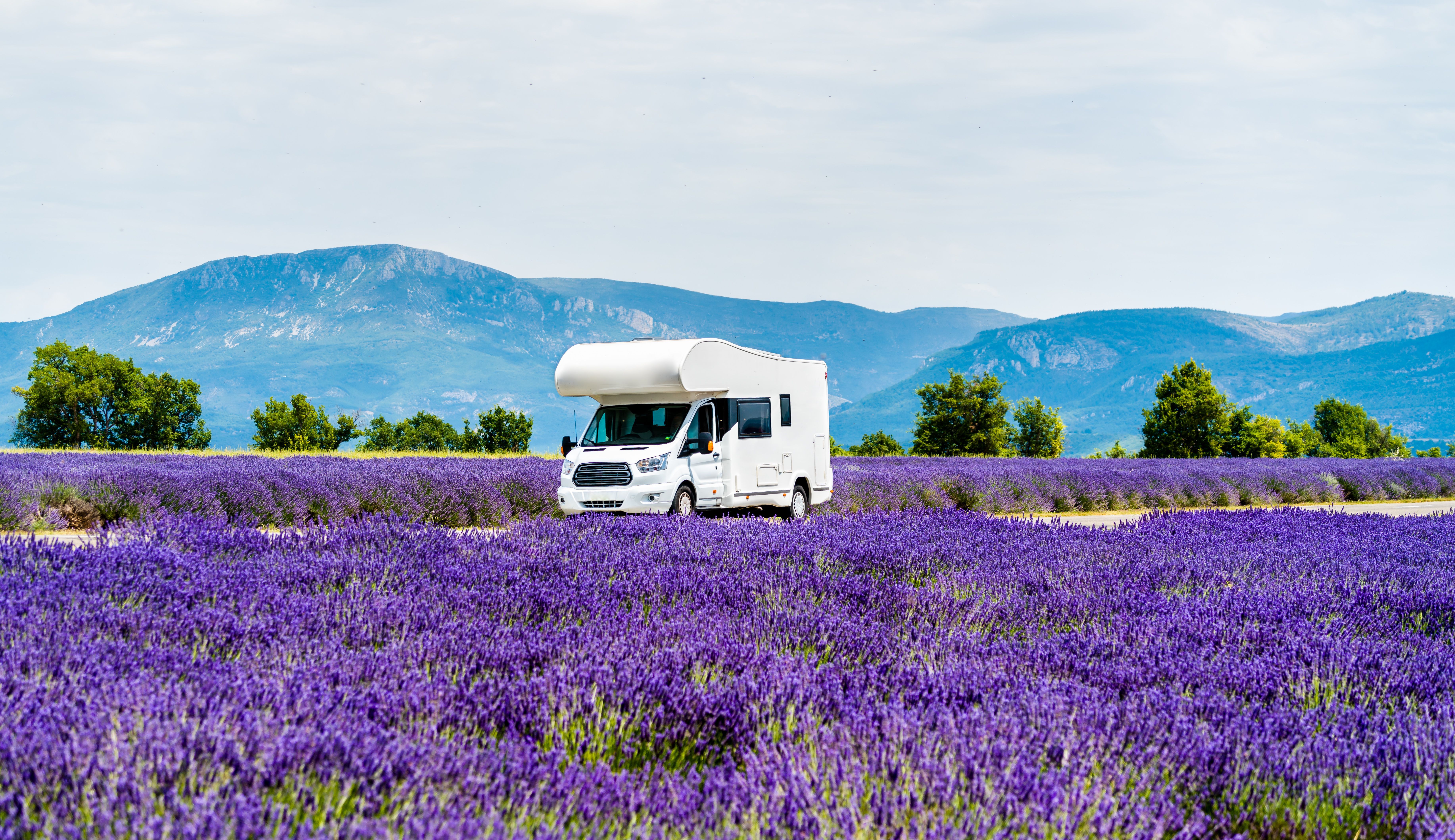 Camper in lavendelveld met bergen op de achtergrond.
