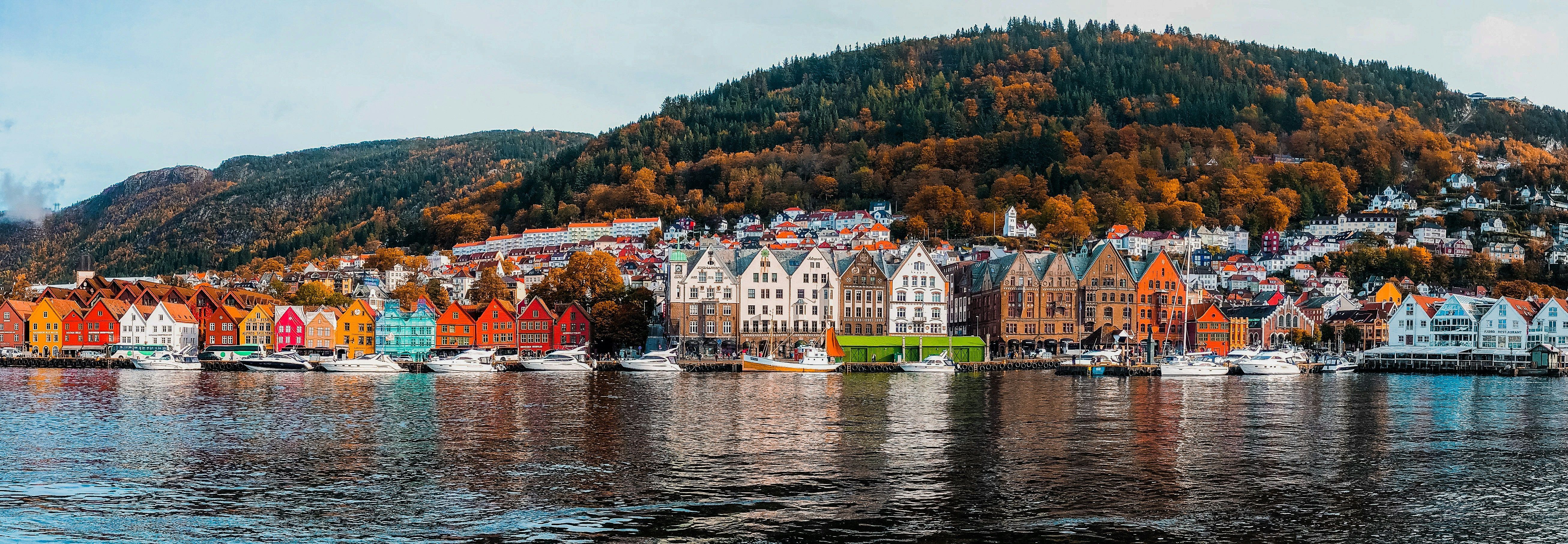 Vanaf het water kijk je uit op de kleurrijke huizen in Bergen, die er typisch Scandinavisch uitzien. Op de achtergrond zie je een bos op een heuvel in herfstachtige oranje en groene tinten.