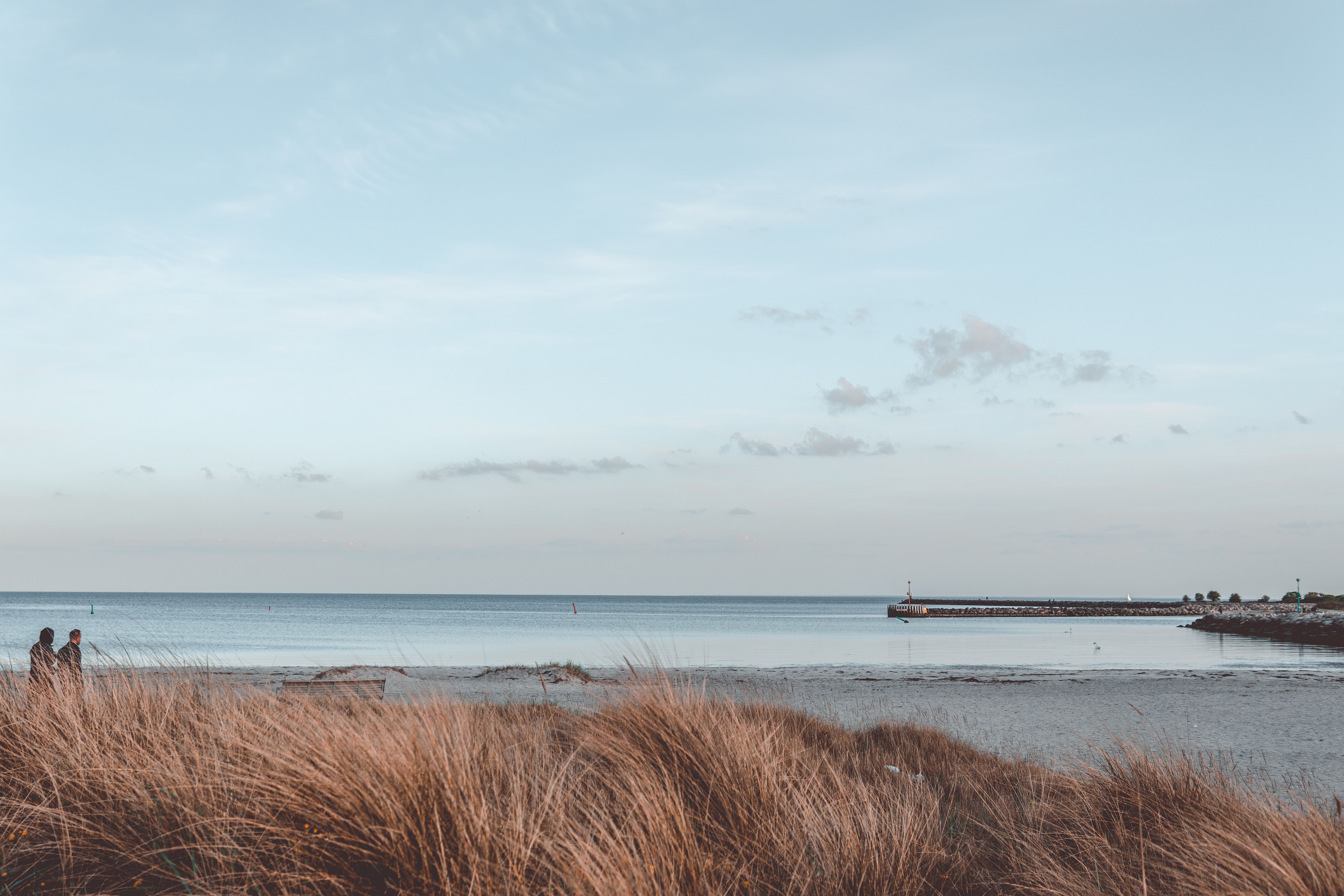 An der dänischen Küste spaziert ein Paar am Meer entlang. Im Vordergrund sieht man ein paar Dünen, im Hintergrund einen Strand und das Meer.