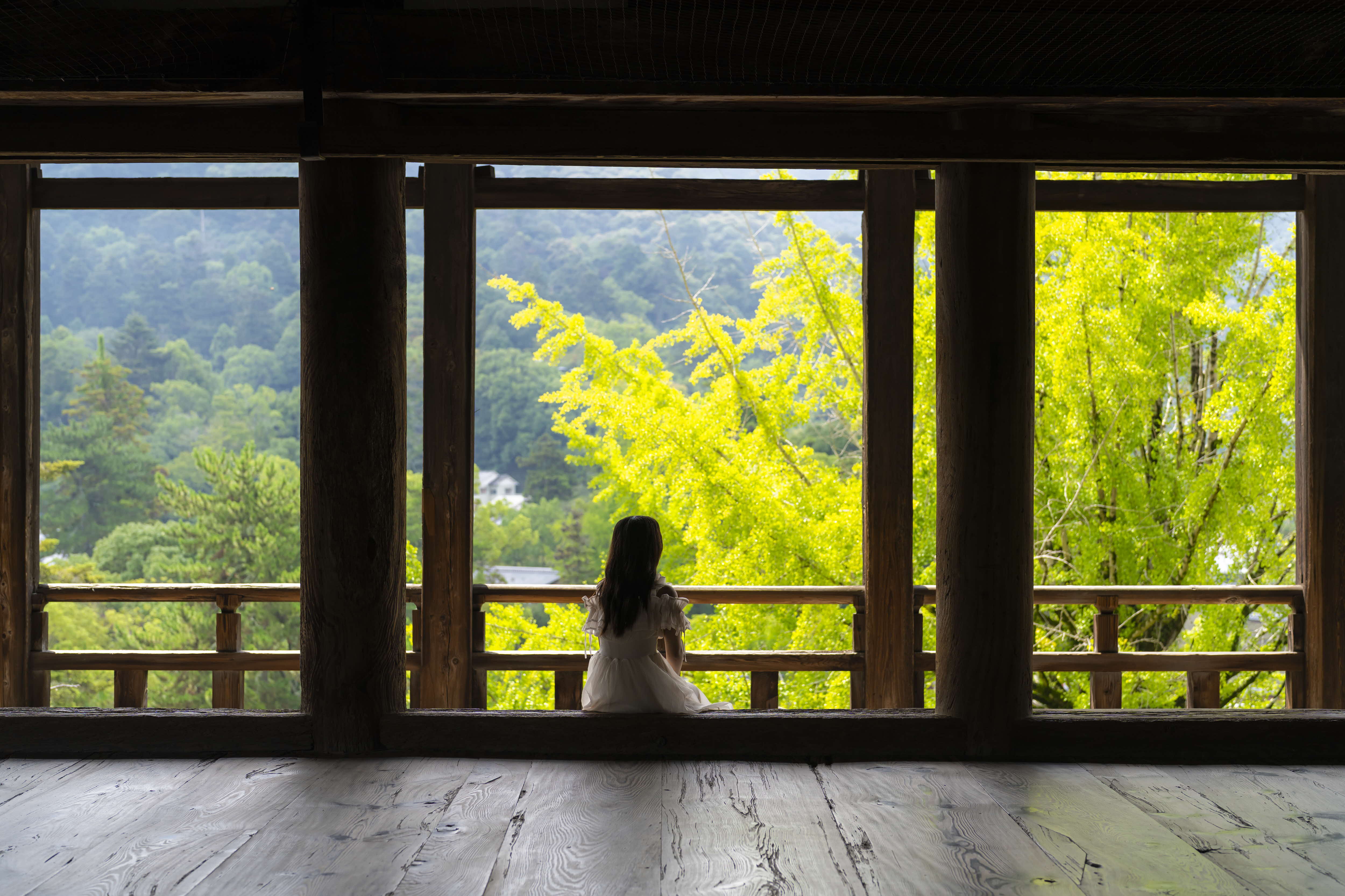 A person sitting by big windows in a traditonal Japanese building looking out at a green forest.