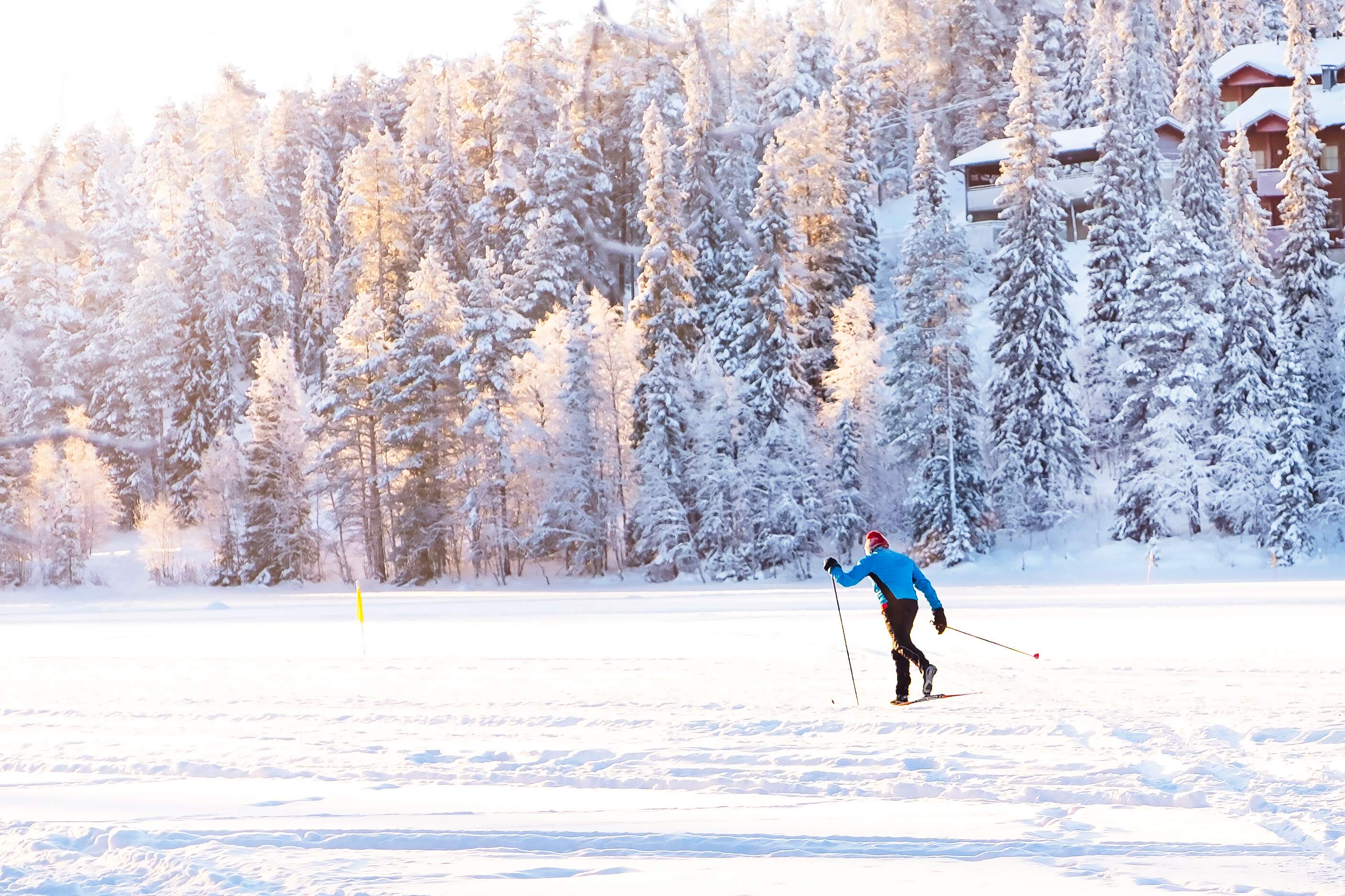 Man die aan langlaufen doet, met besneeuwde bomen op de achtergrond.