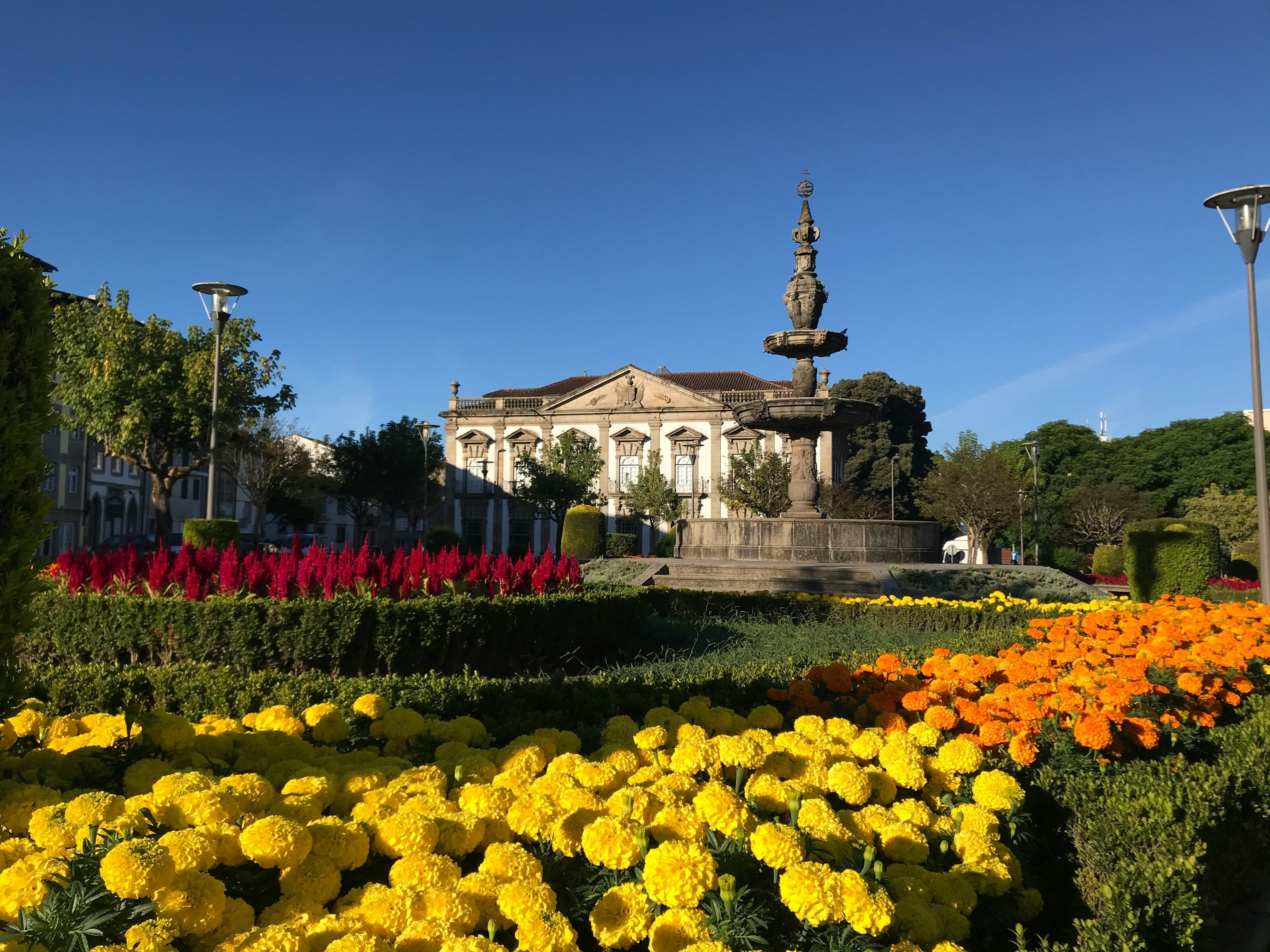 Fiori colorati a Campo das Hortas, a Braga
