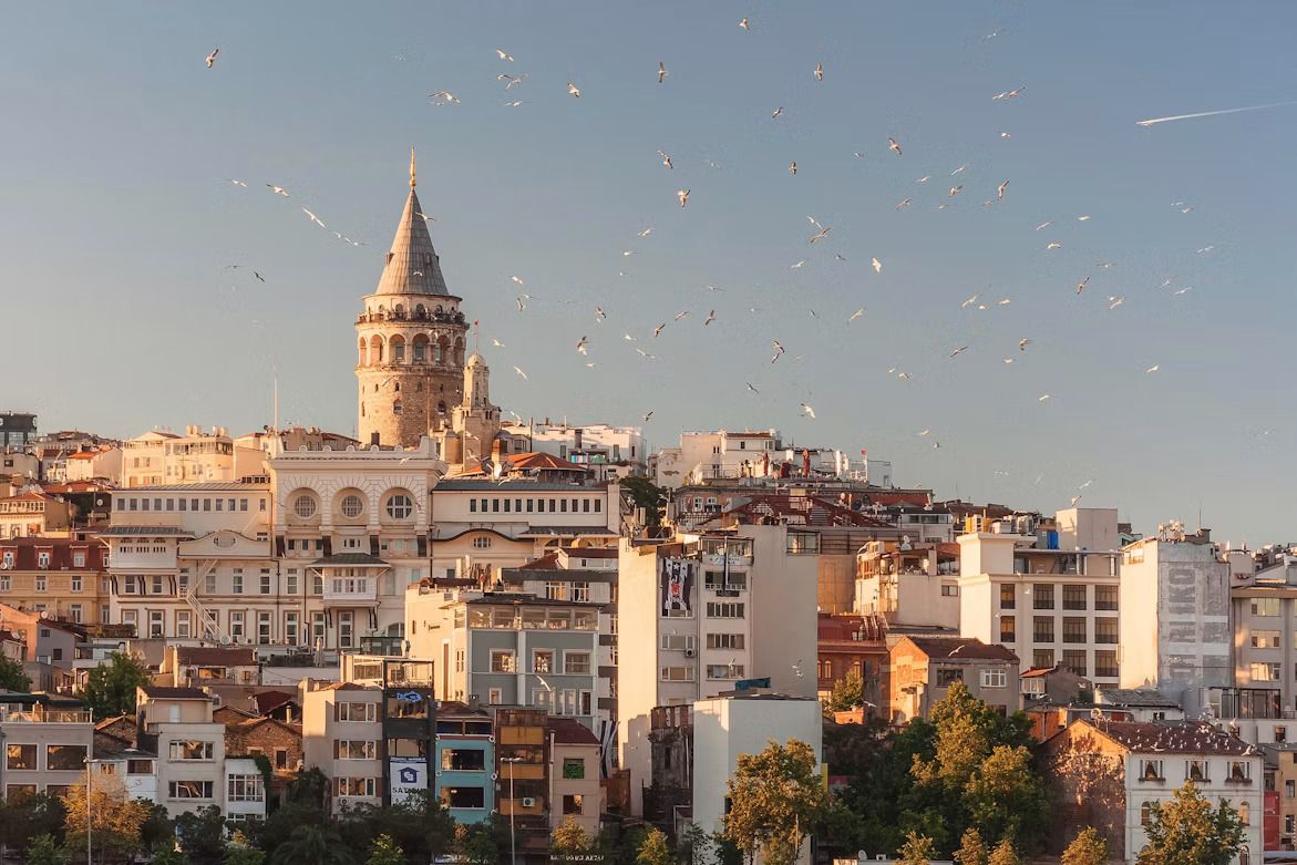 La torre de una iglesia destacando sobre los tejados de la ciudad, con bandadas de gaviotas volando alrededor.