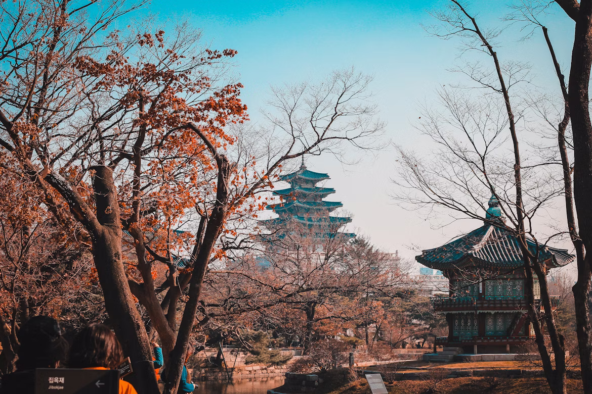 Zwischen herbstlichen Bäumen sieht man den Gyeongbokgung-Palast in Seoul, Südkorea.