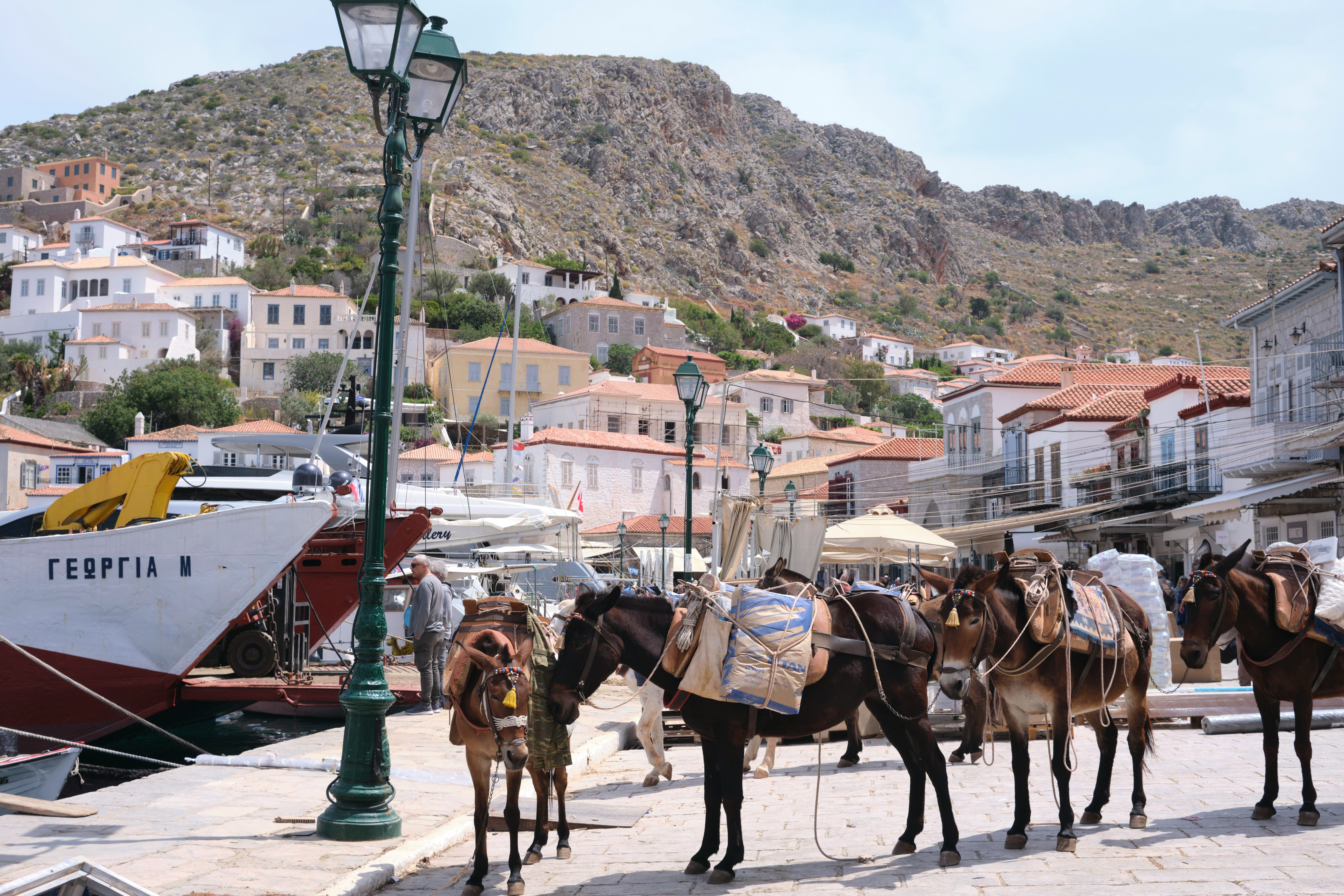 Porto di Hydra con una fila di asinelli.