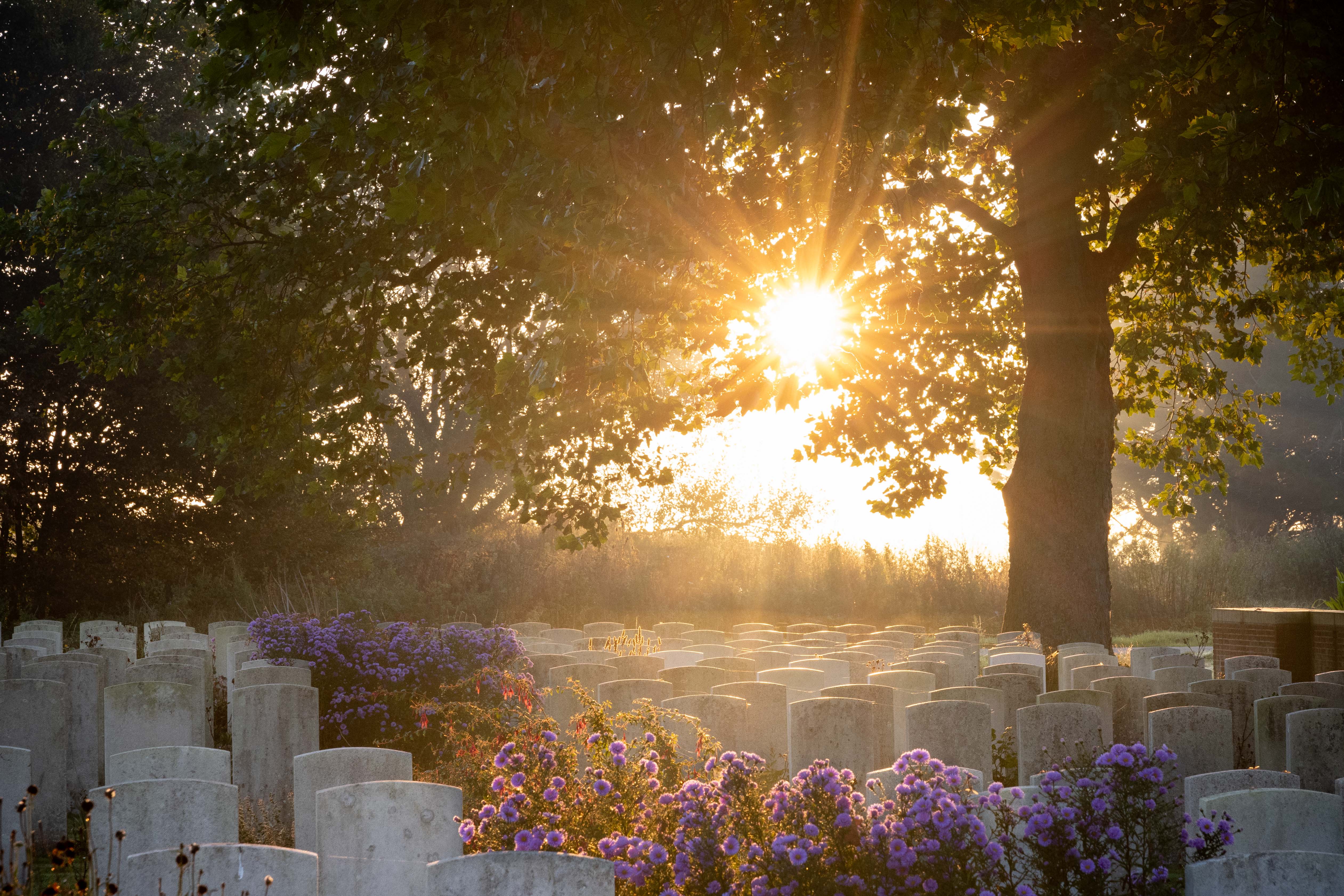 cemetery in Flanders Fields