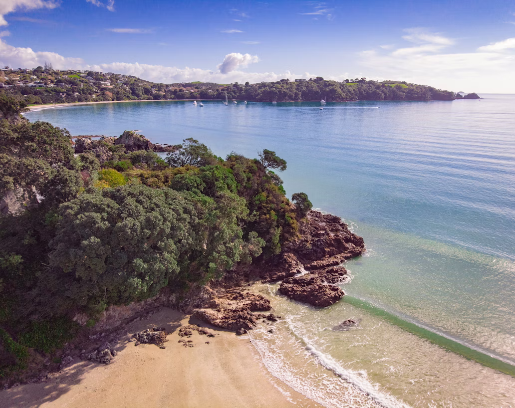 Von oben fotografiert sieht man die üppige Küstenlandschaft der neuseeländischen Insel Waiheke, die an ihren charakteristischen grünen Pohutukawa-Bäumen zu erkennen ist, die auf das ruhige Wasser treffen.