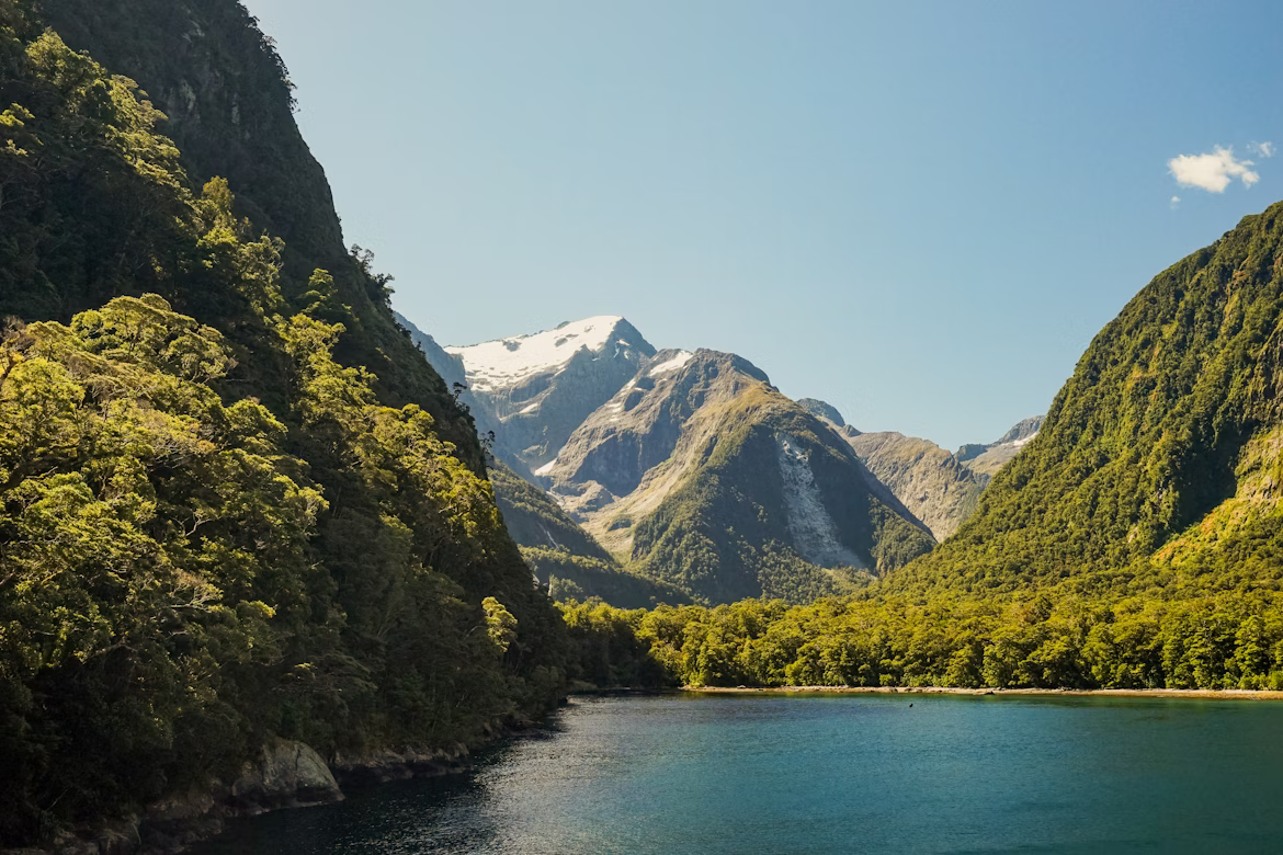 Der Milford Sound (auch bekannt als Piopiotahi), ein berühmter Fjord im Fiordland-Nationalpark auf der Südinsel Neuseelands. Blaues Wasser schlängelt sich durch üppig grüne Berglandschaften.