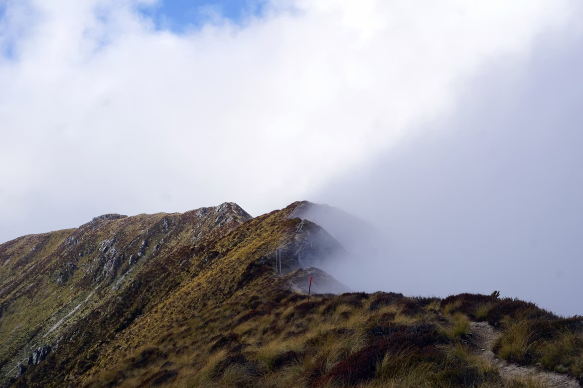 NZ Kepler Track.avif