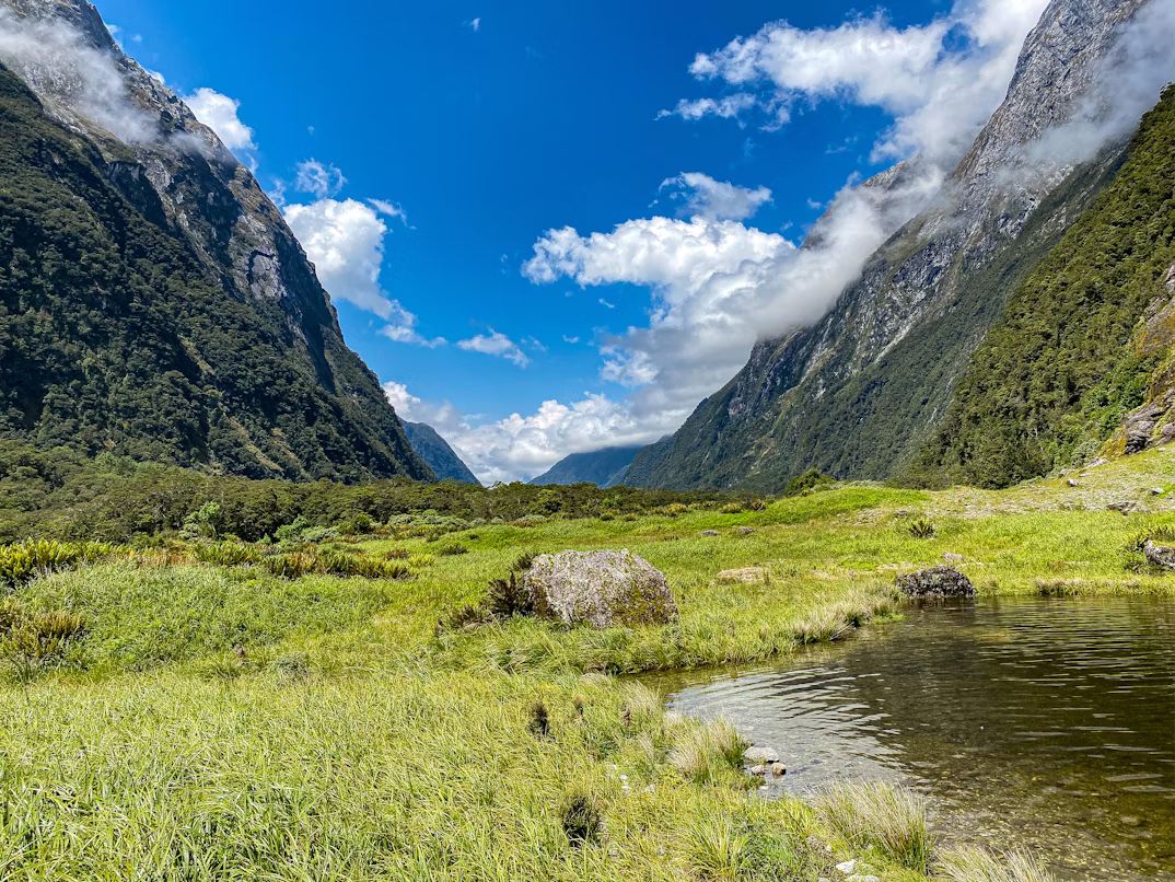 NZ Milford Track.avif