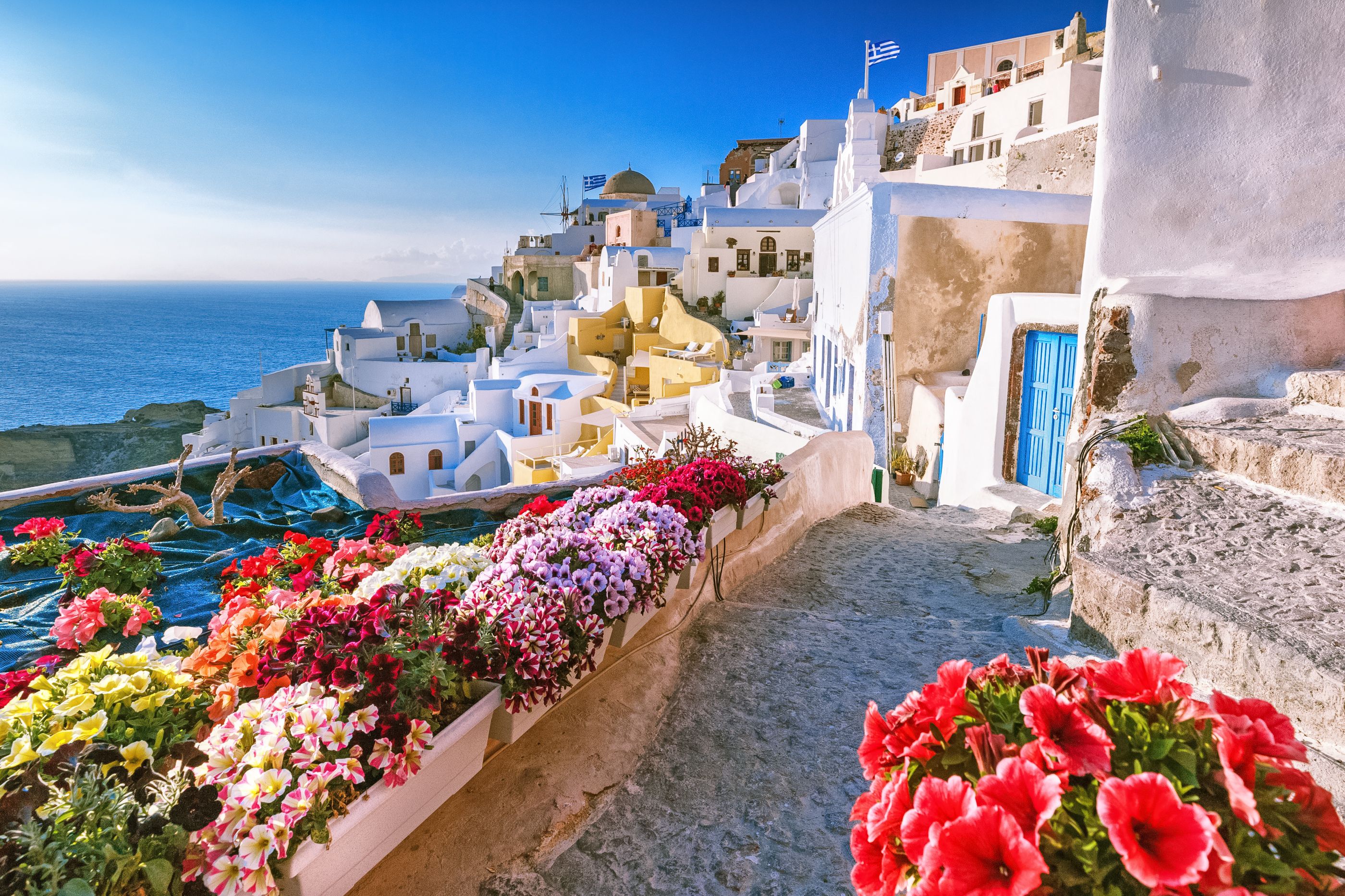 flowers in the streets in Oia
