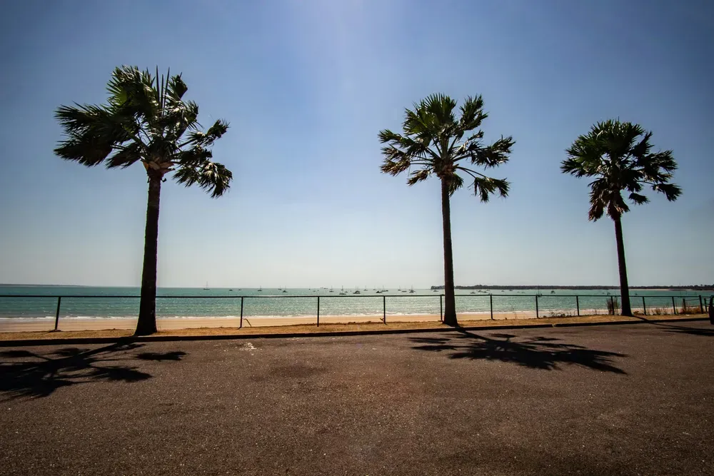 An der Küste von Darwin im Norden Australiens stehen drei große Palmen an einer Promenade.