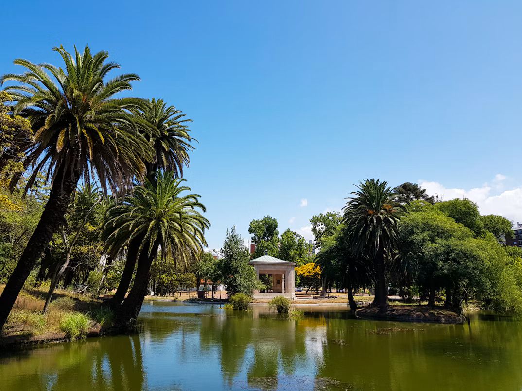 A green lake fringed by leaning palm trees with a white bandstand in the distance