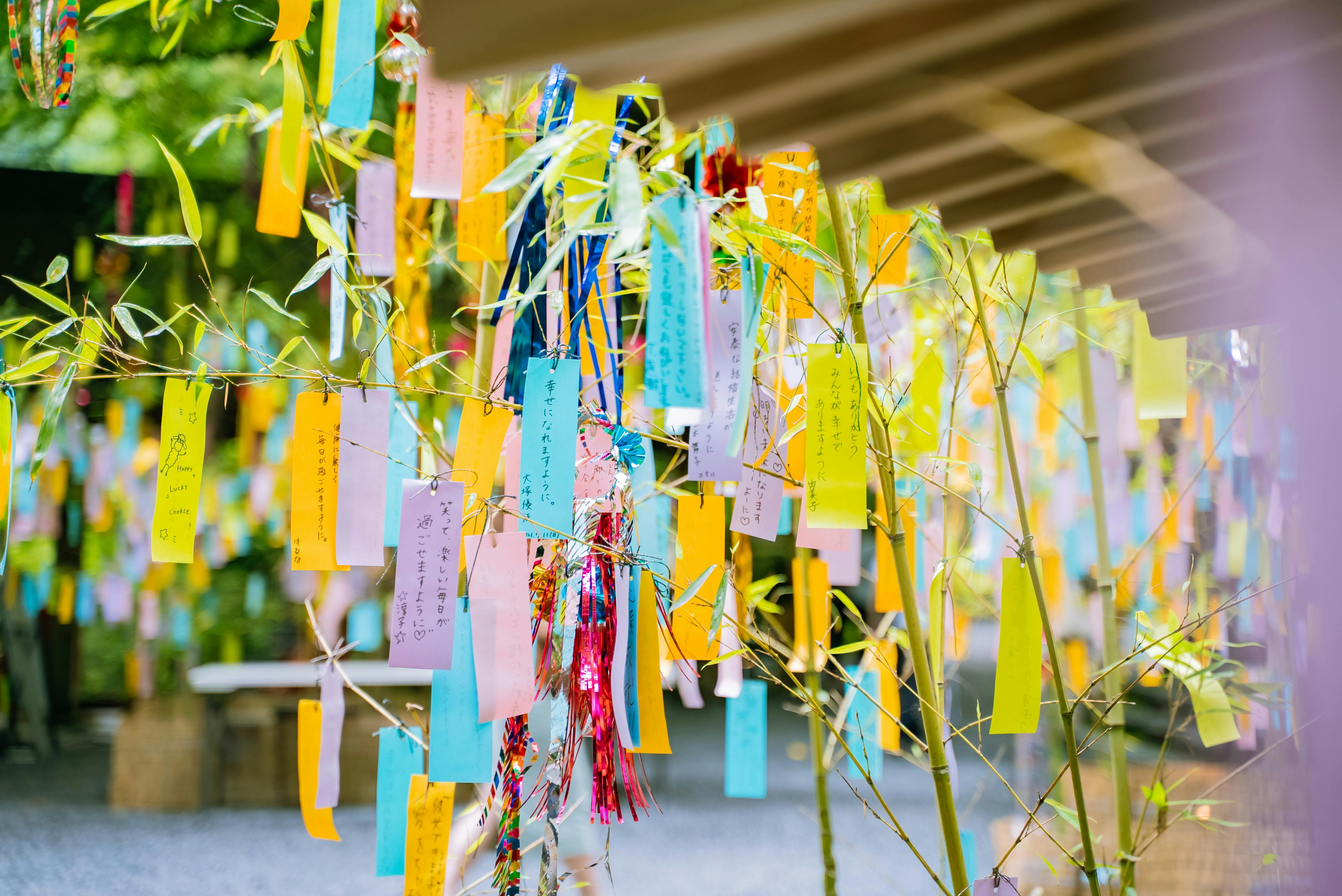Bunte Papierschnipsel, auf denen Wünsche stehen, hängen an einem Bambus-Zweig. Die Dekoration ist typisch für das Tanabata-Festival in Japan.
