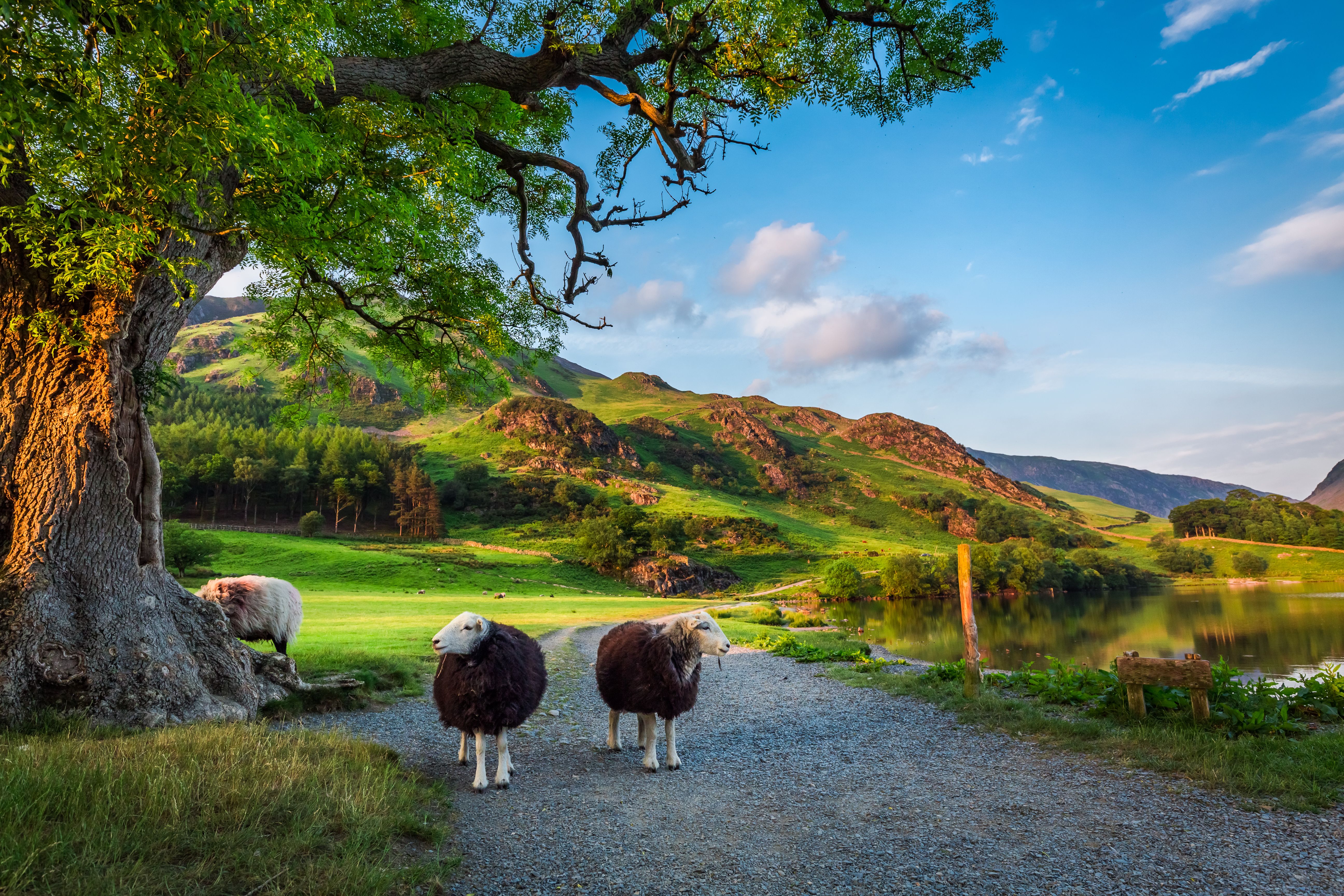 Windermere, Lake District.jpg