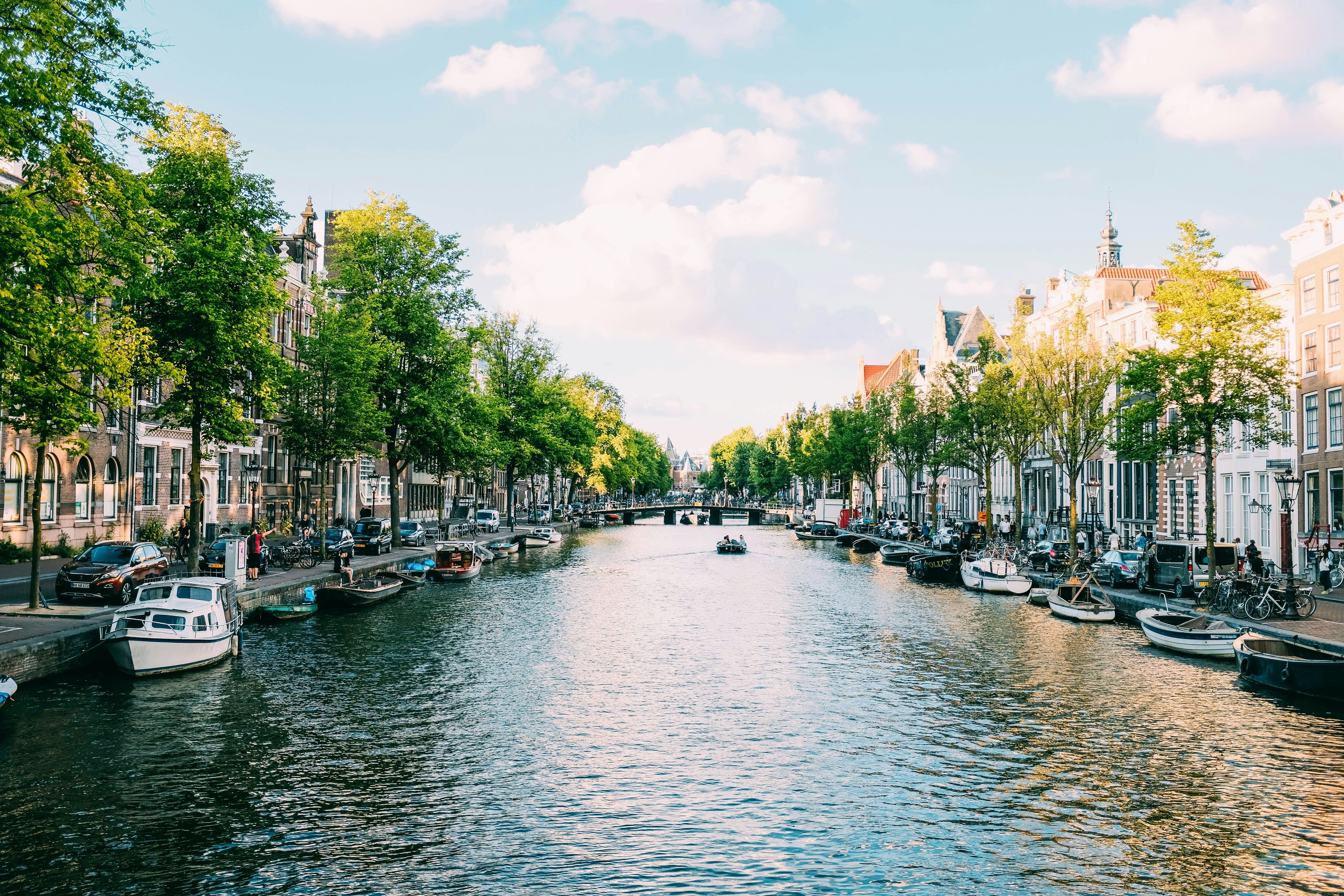 tree lined canal in Amsterdam