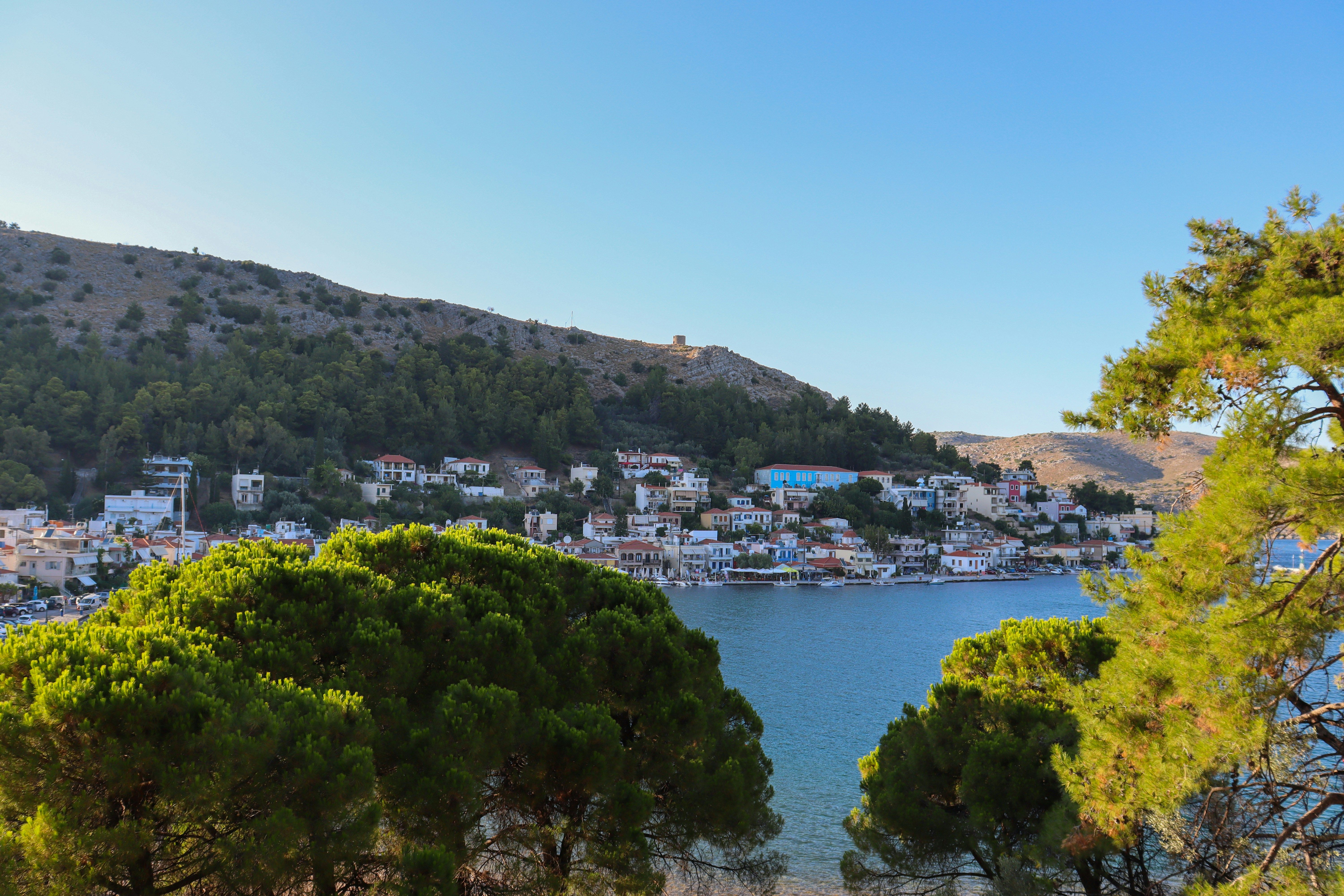 trees with Chios town behind