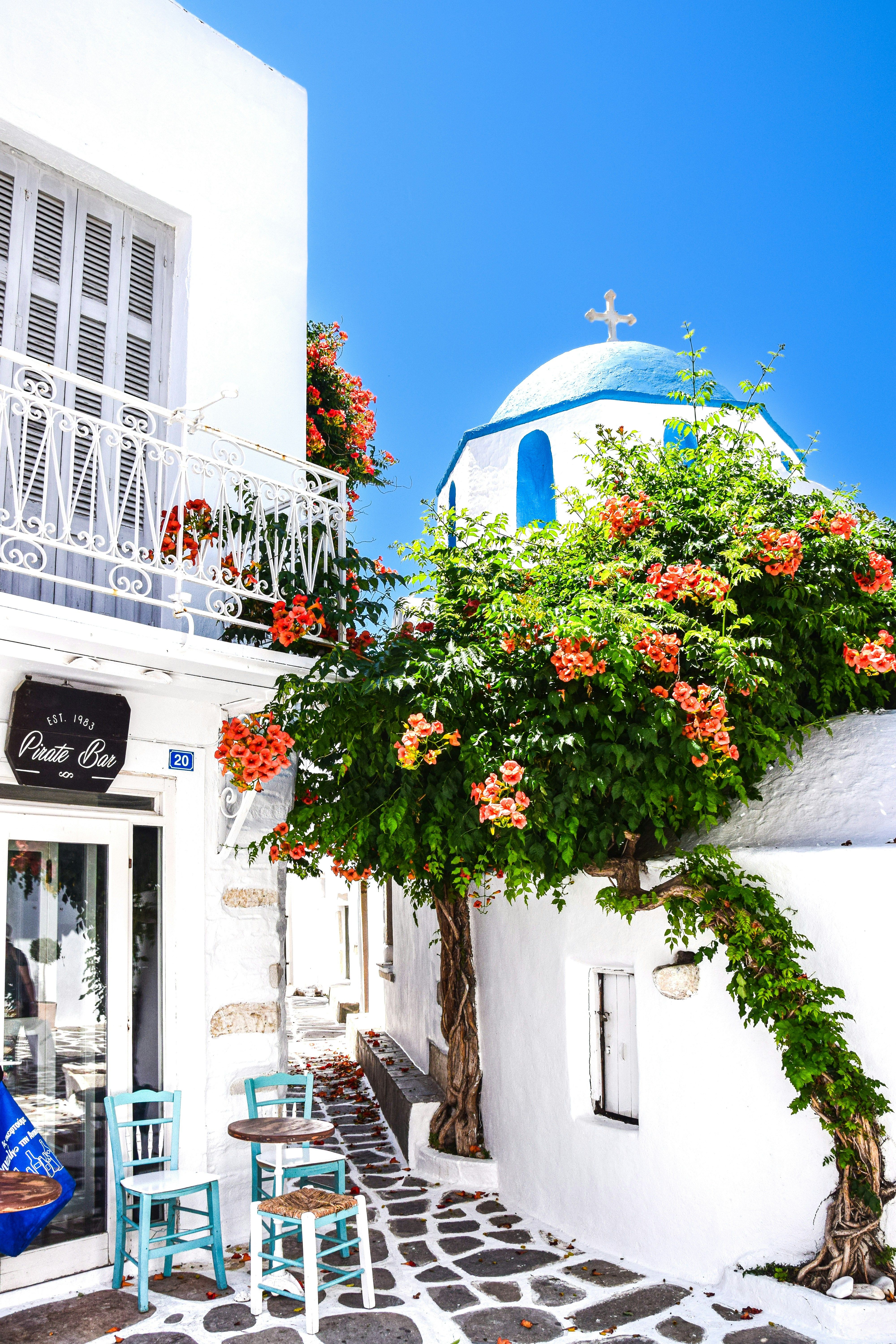 flowers next to white buildings on cobbled street