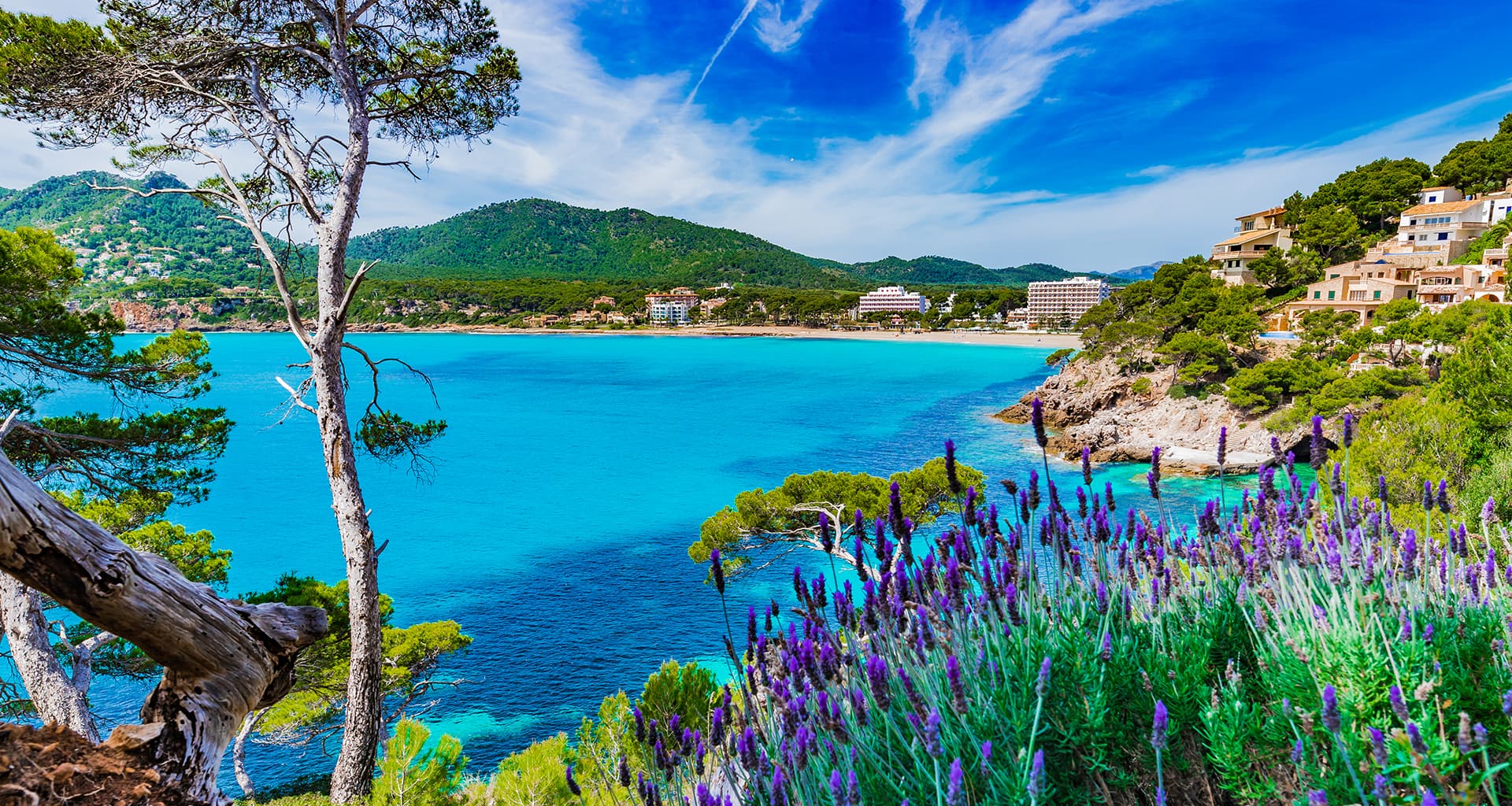 Balearics: up to 25% OFF with Trasmed