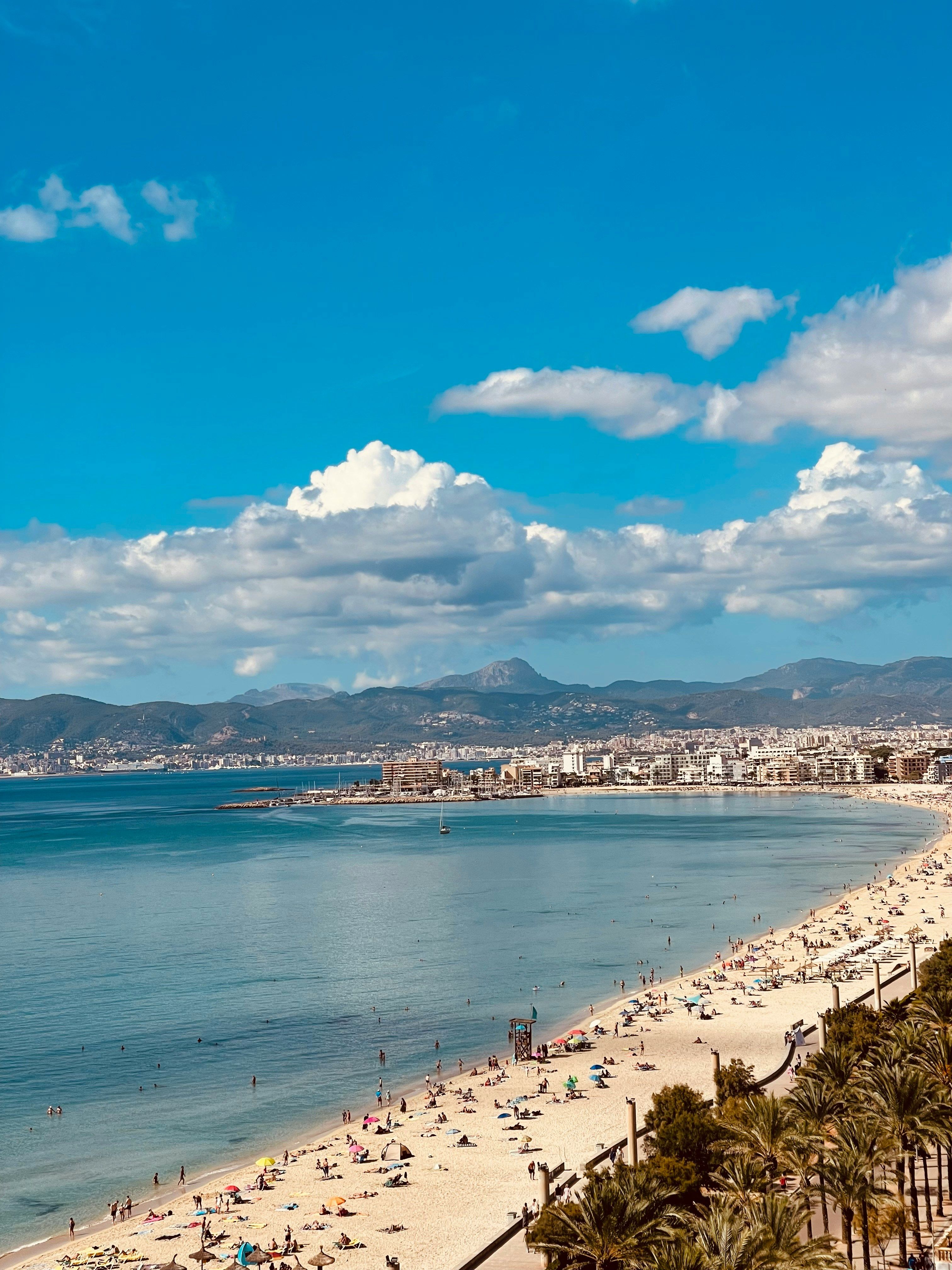 people on a sandy beach with the city behind