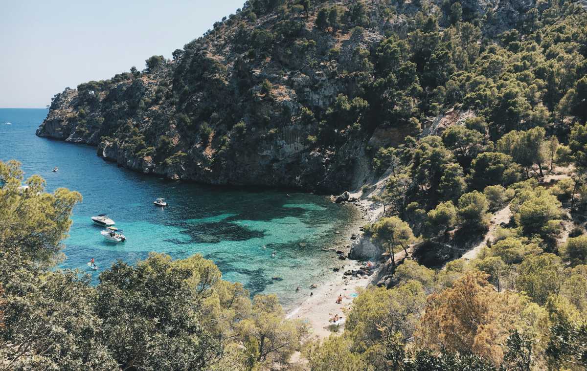 Cala rodeada de pinos y barcos en aguas cristalinas en Mallorca.