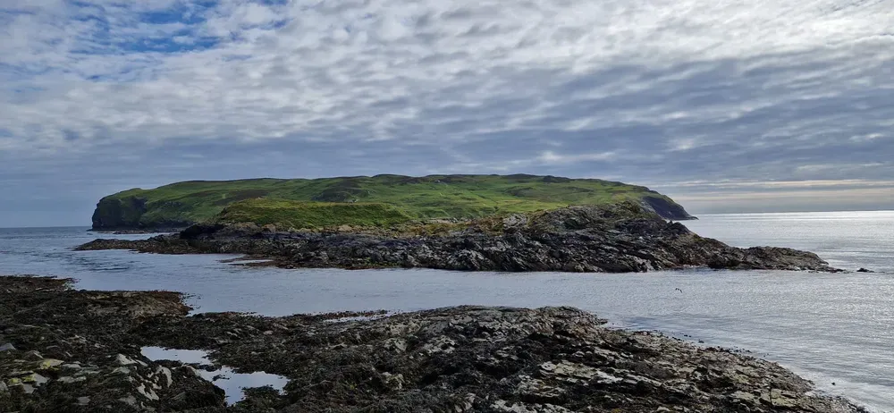 calf of man