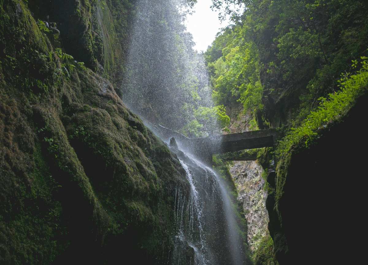 Cascada cayendo entre paredes cubiertas de musgo en el bosque de Los Tilos, ruta de los Nacientes de Marcos y Cordero en La Palma