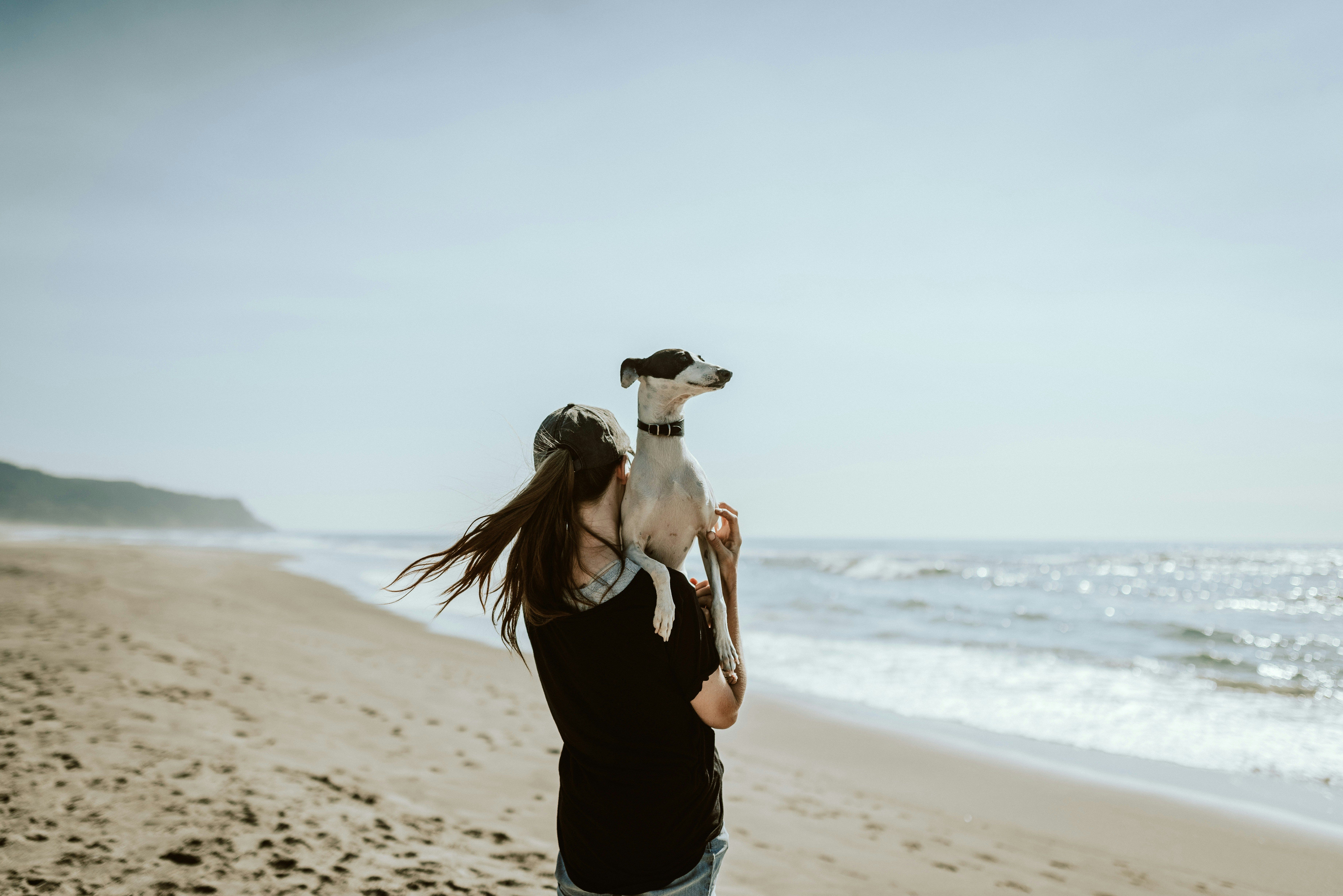 Eine Frau ist von hinten zu sehen. Sie steht am Sandstrand direkt an der Küste, das Meer rauscht ans Ufer. Sie hält ihren Hund auf dem Arm.