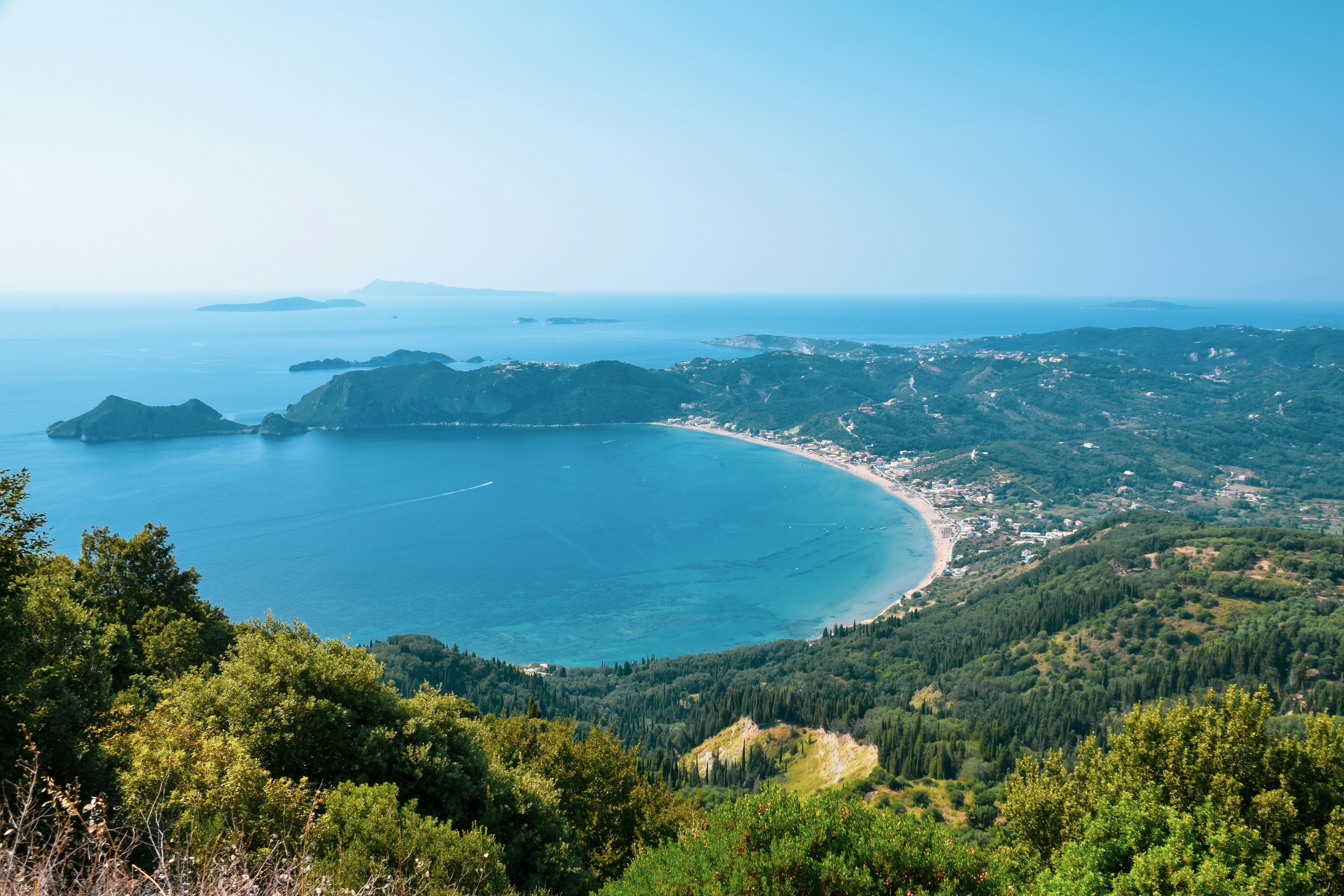 foret avec baie et eau turquoise au fond