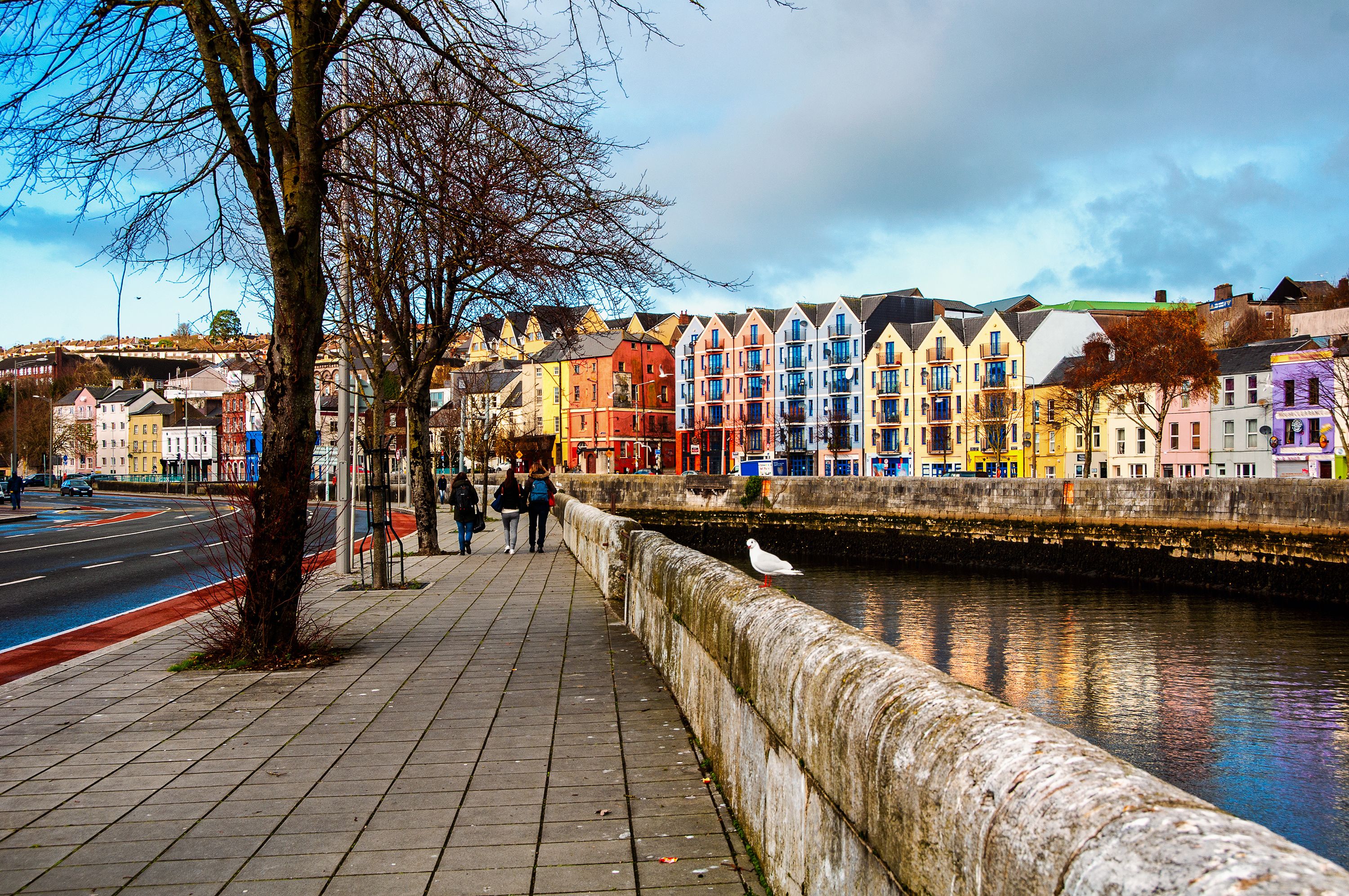 cork.jpeg