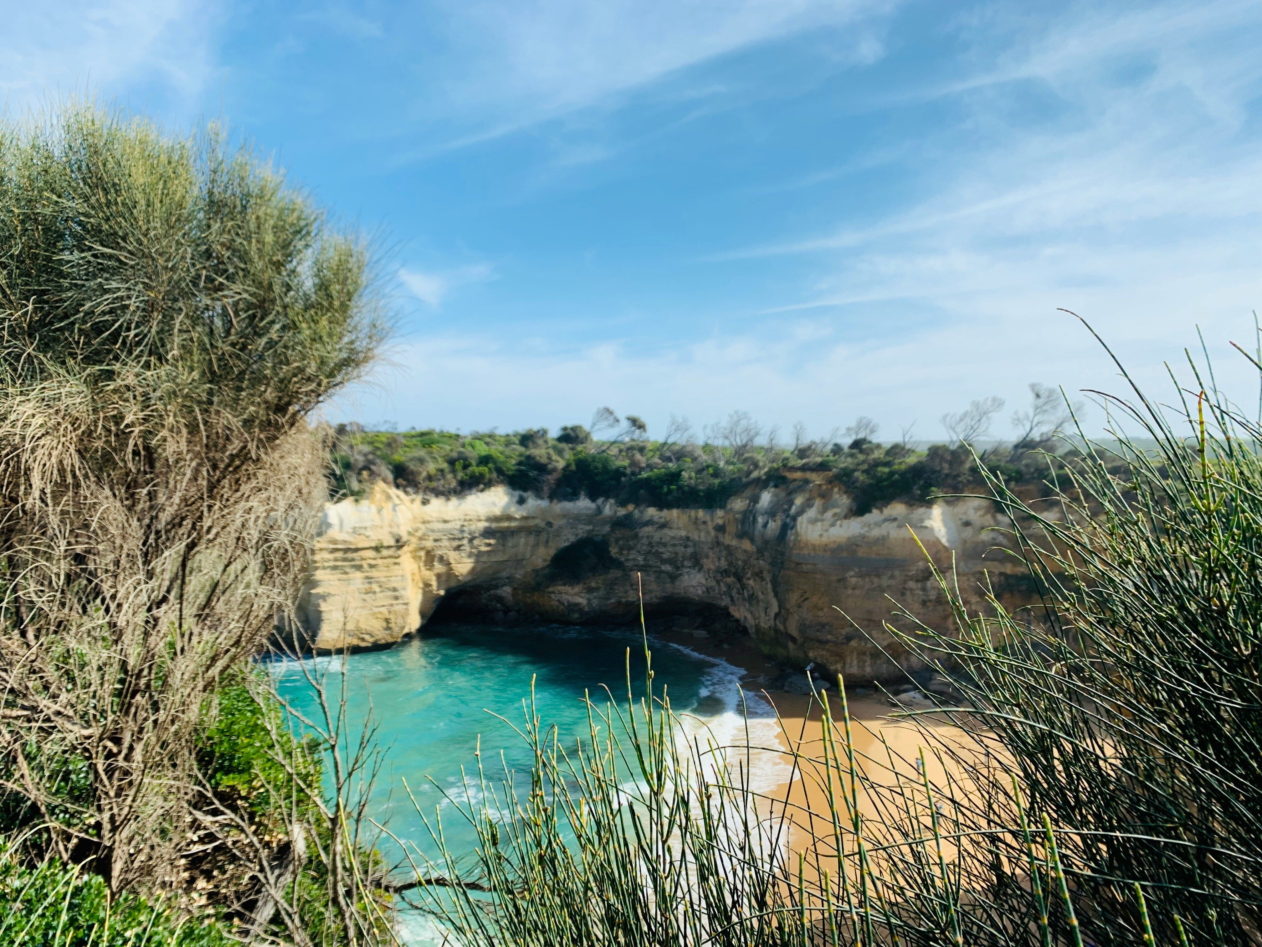 herbes et rochers avec baie donnant sur la mer