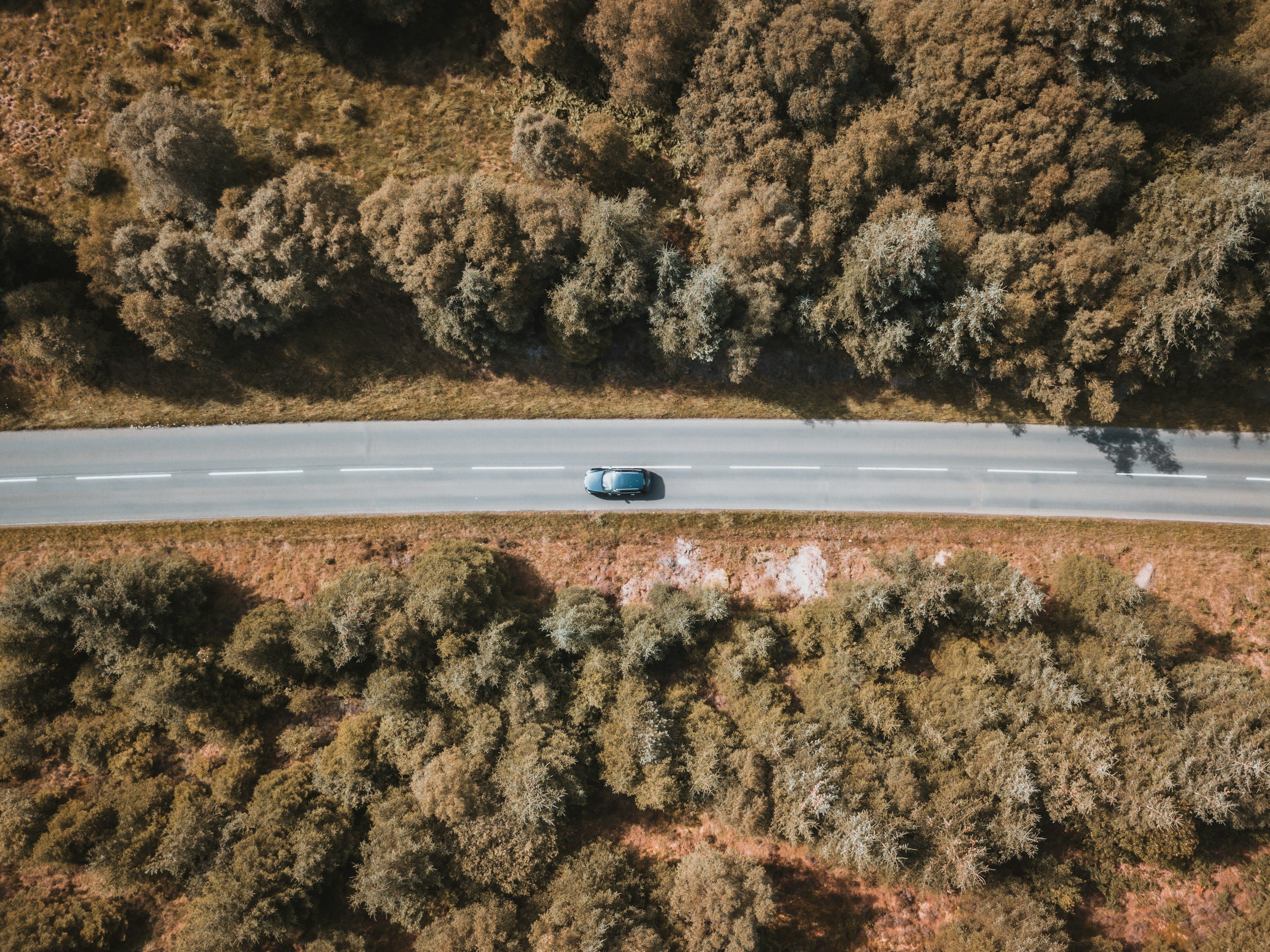 car driving through autumnal landscapes