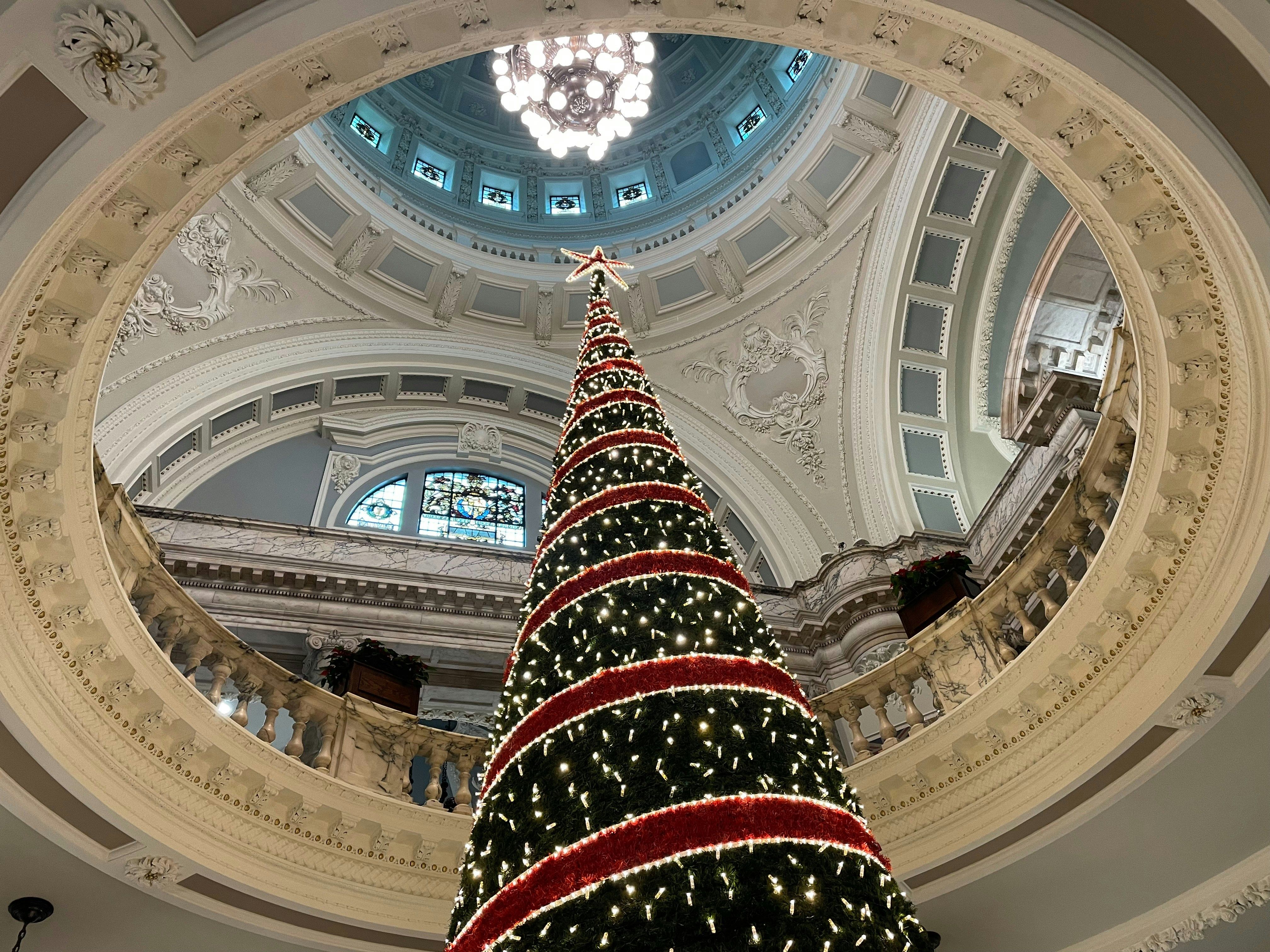 Der festliche Weihnachtsbaum im Rathaus von Belfast.