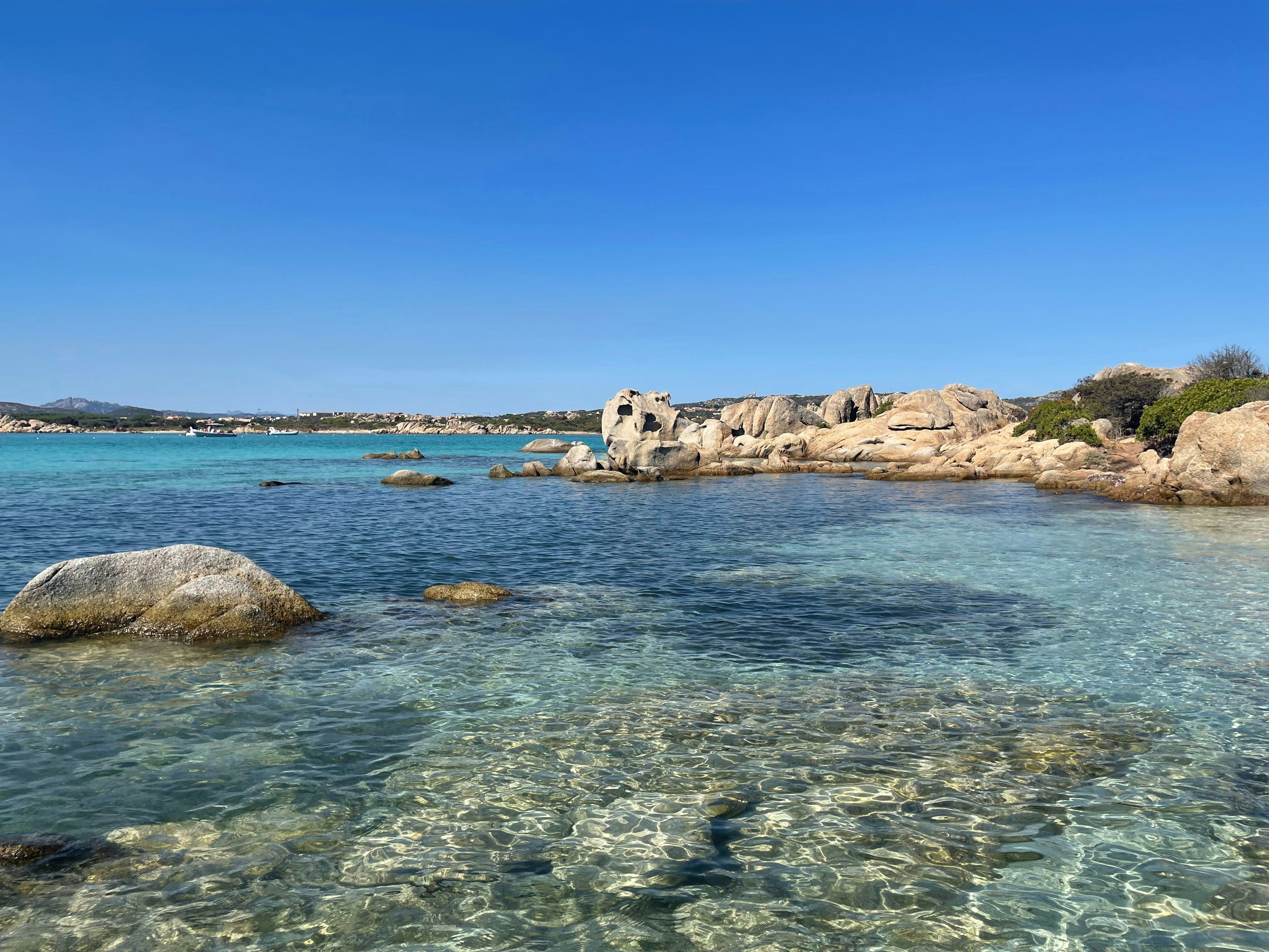 eau de mer claire avec rochers cotiers et plantes