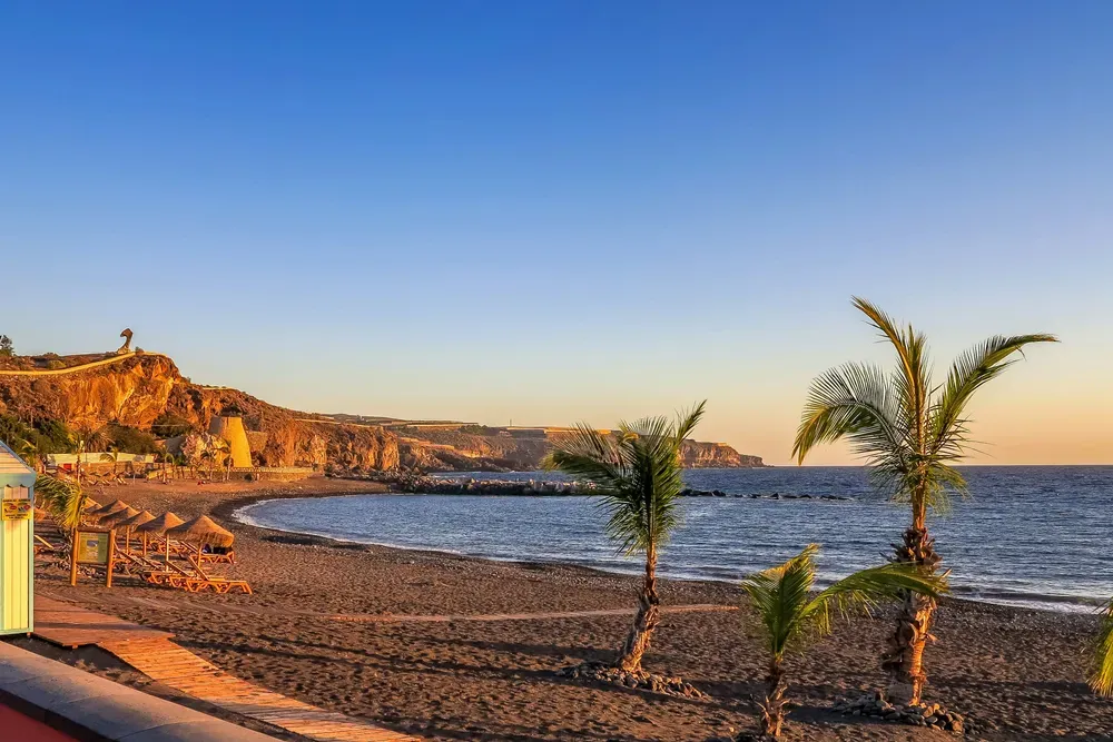 empty sandy beach with palm trees at sunset