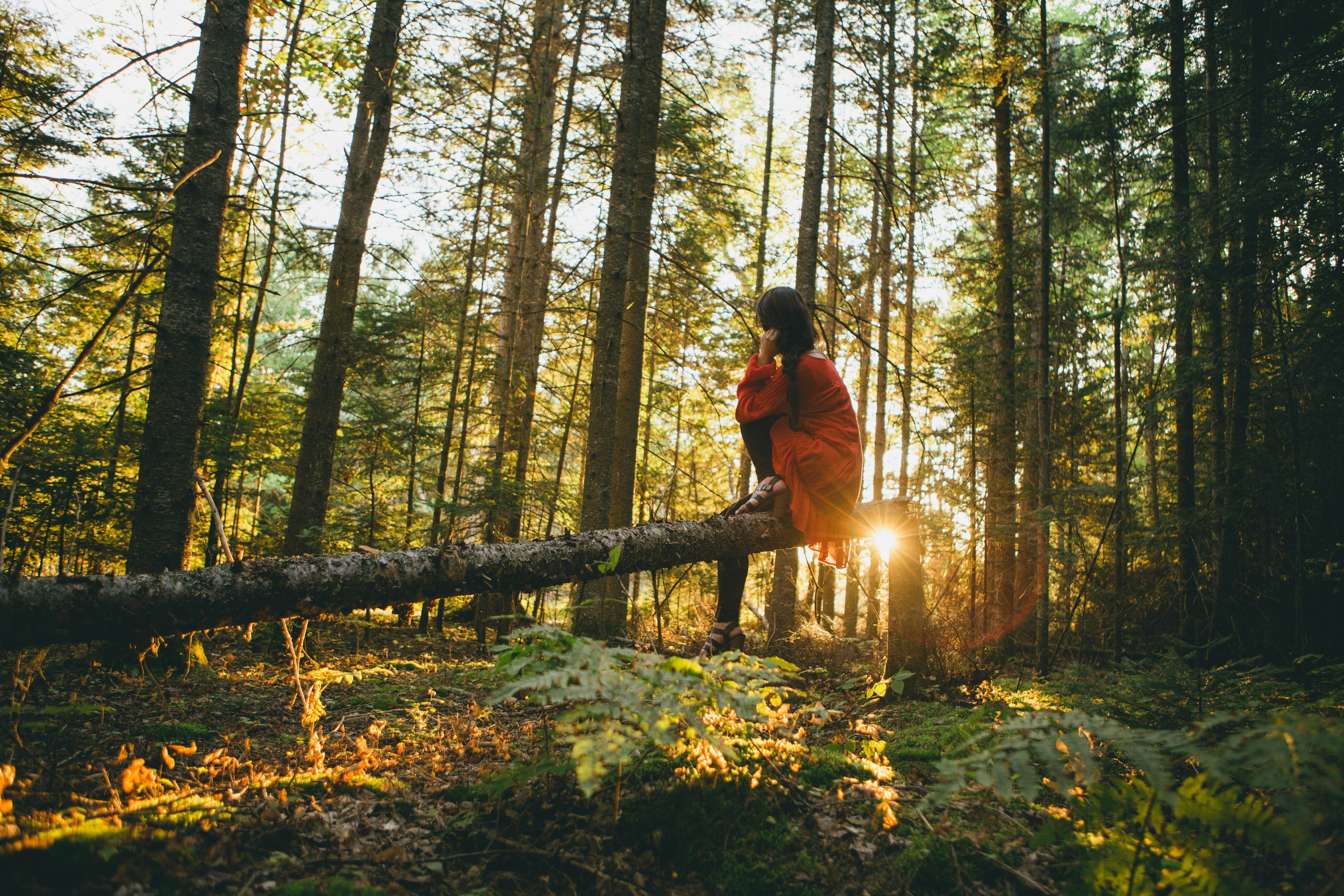 Una ragazza seduta su di un ramo nella quiete del bosco.