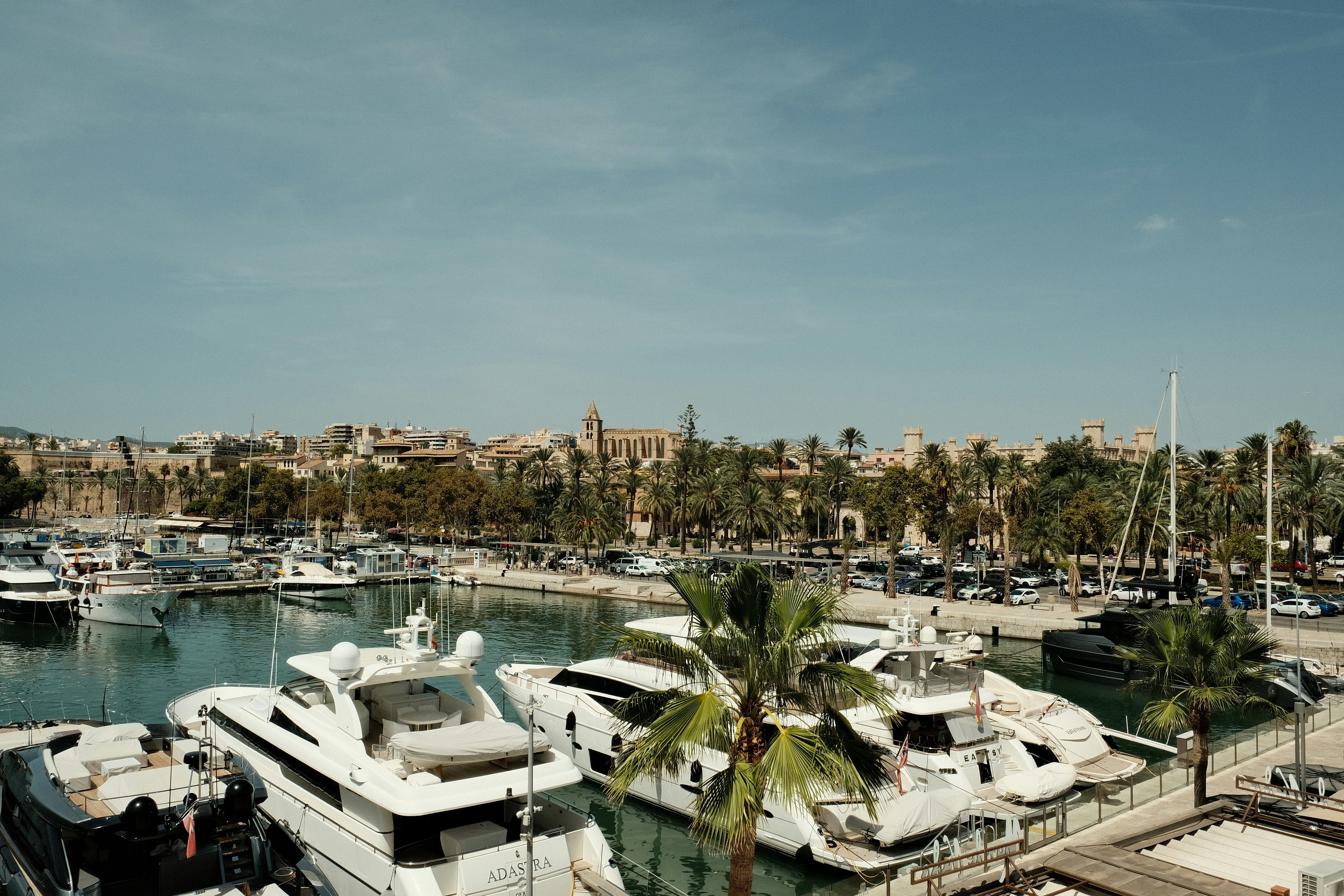 boats docked in Palma port