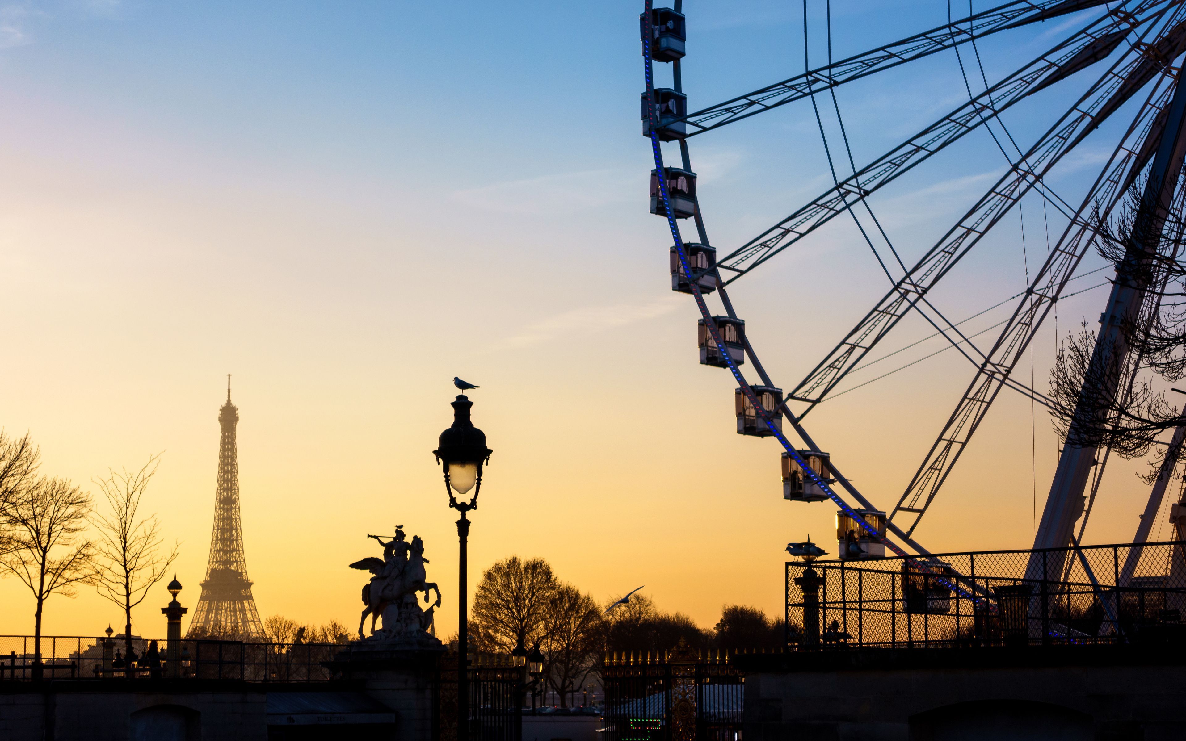 ferris wheel (1).jpg