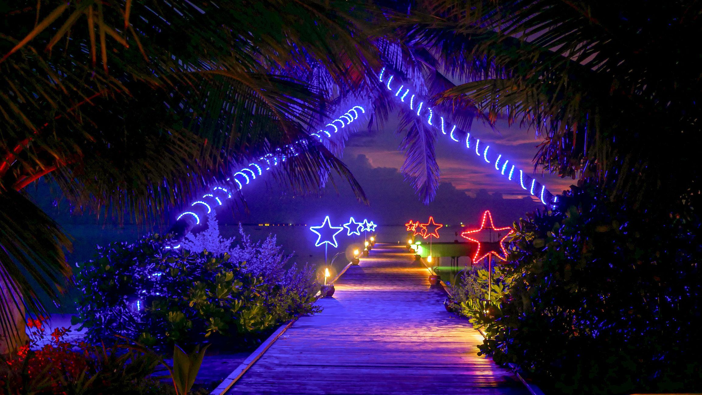 Kleurrijke neonverlichting 's nachts aan palmbomen.