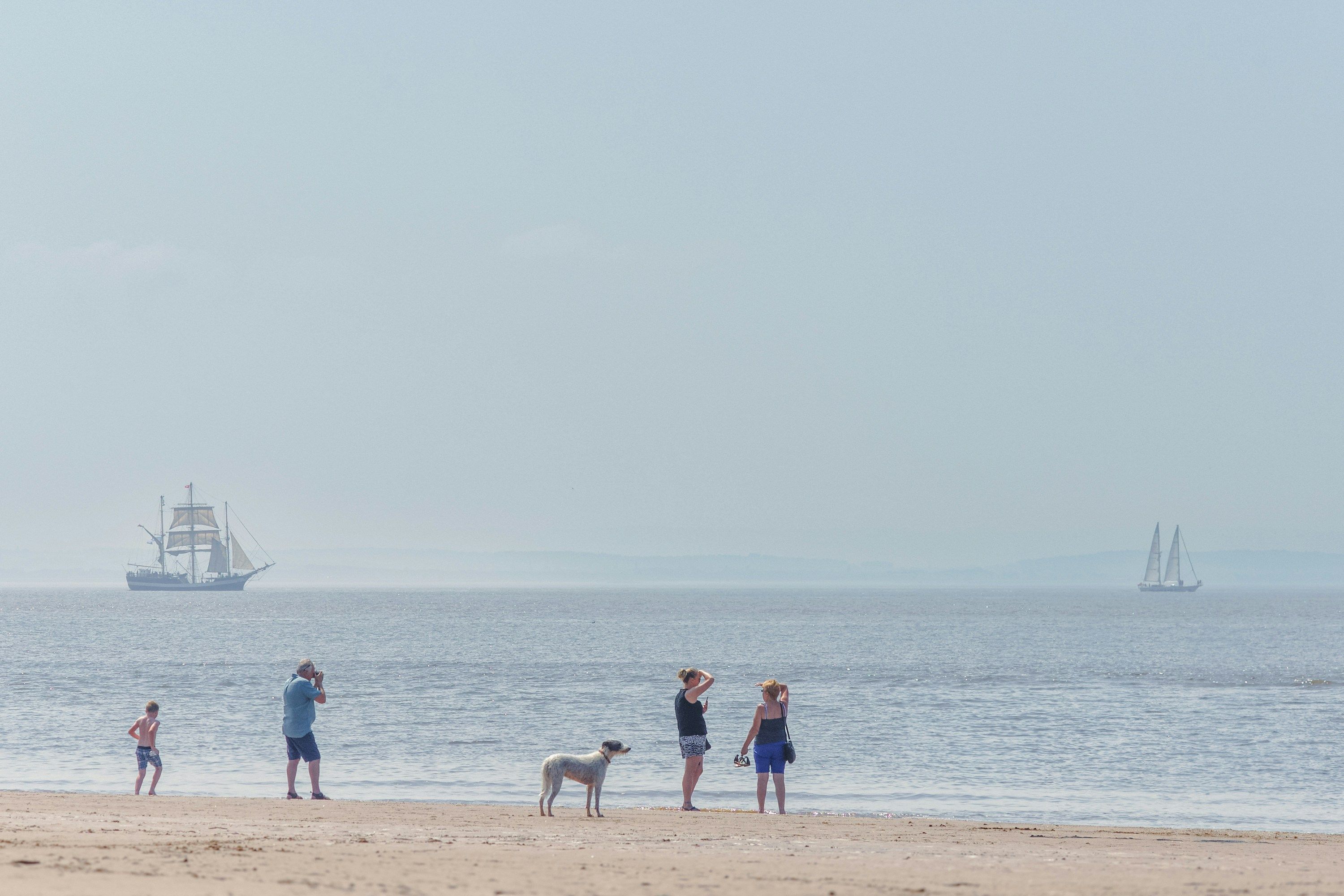 people and a dog on beach looking out to sea