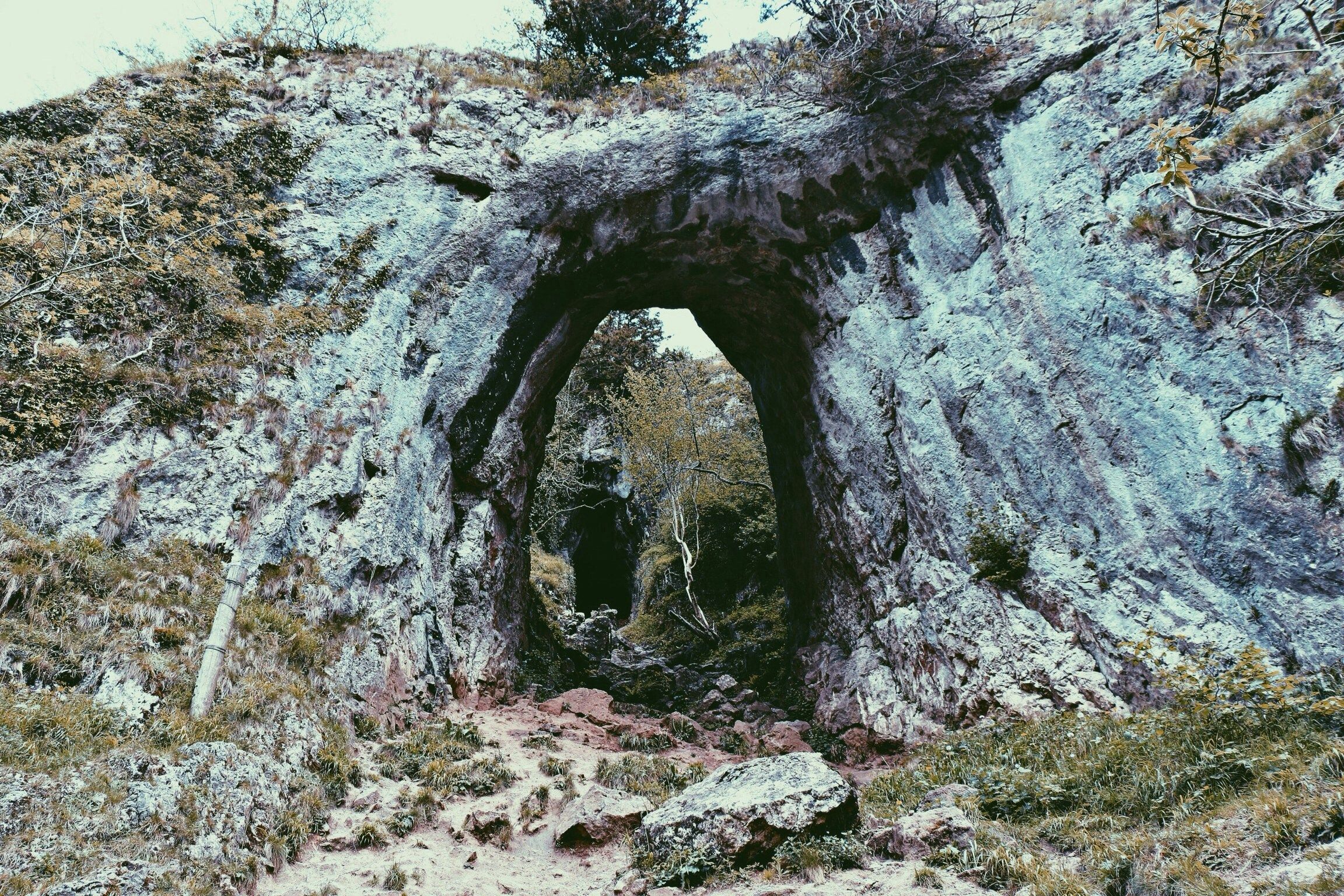 cave dans un rocher avec verdure