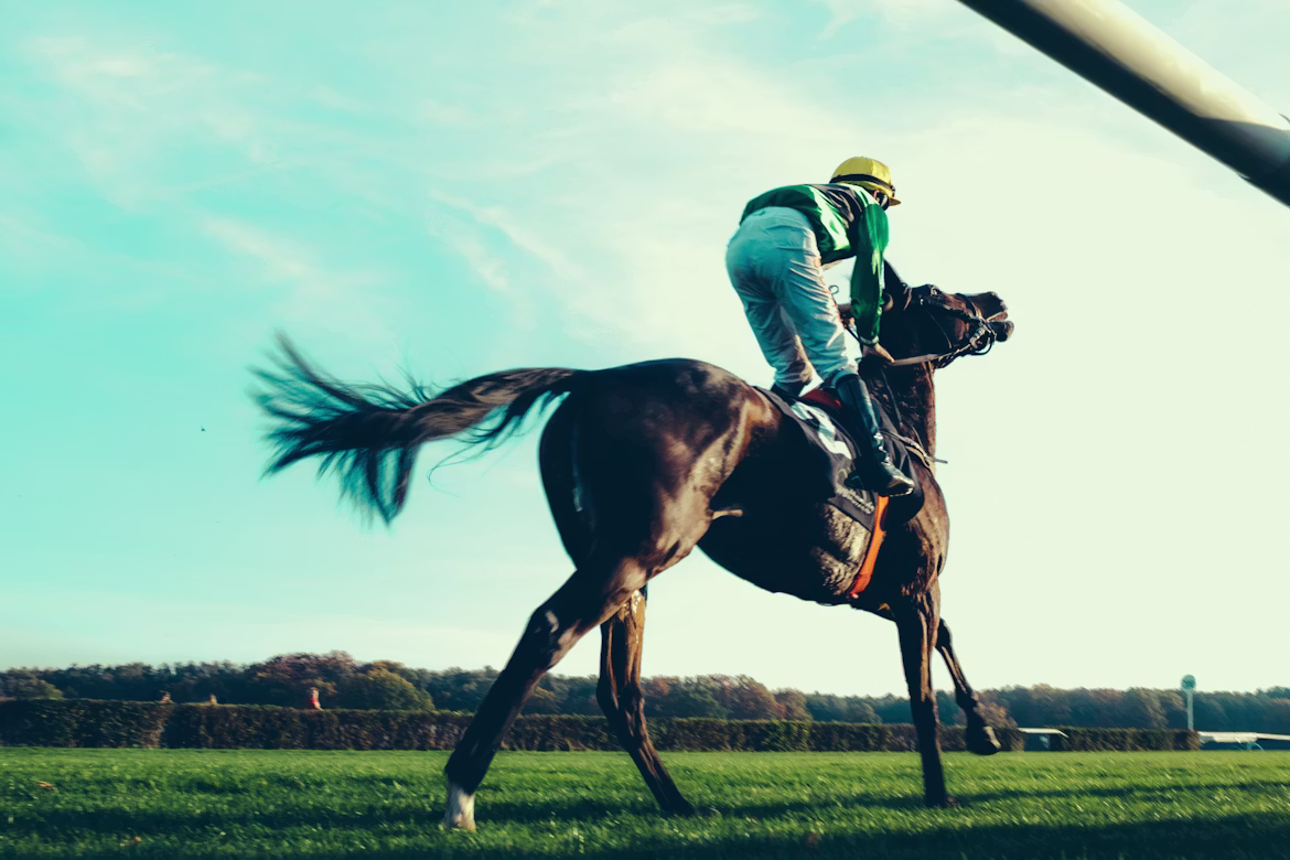 horse race.avif