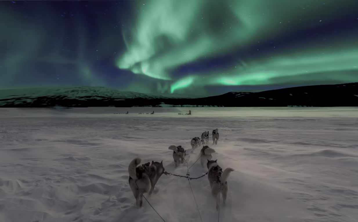 huskey sledding norway.avif