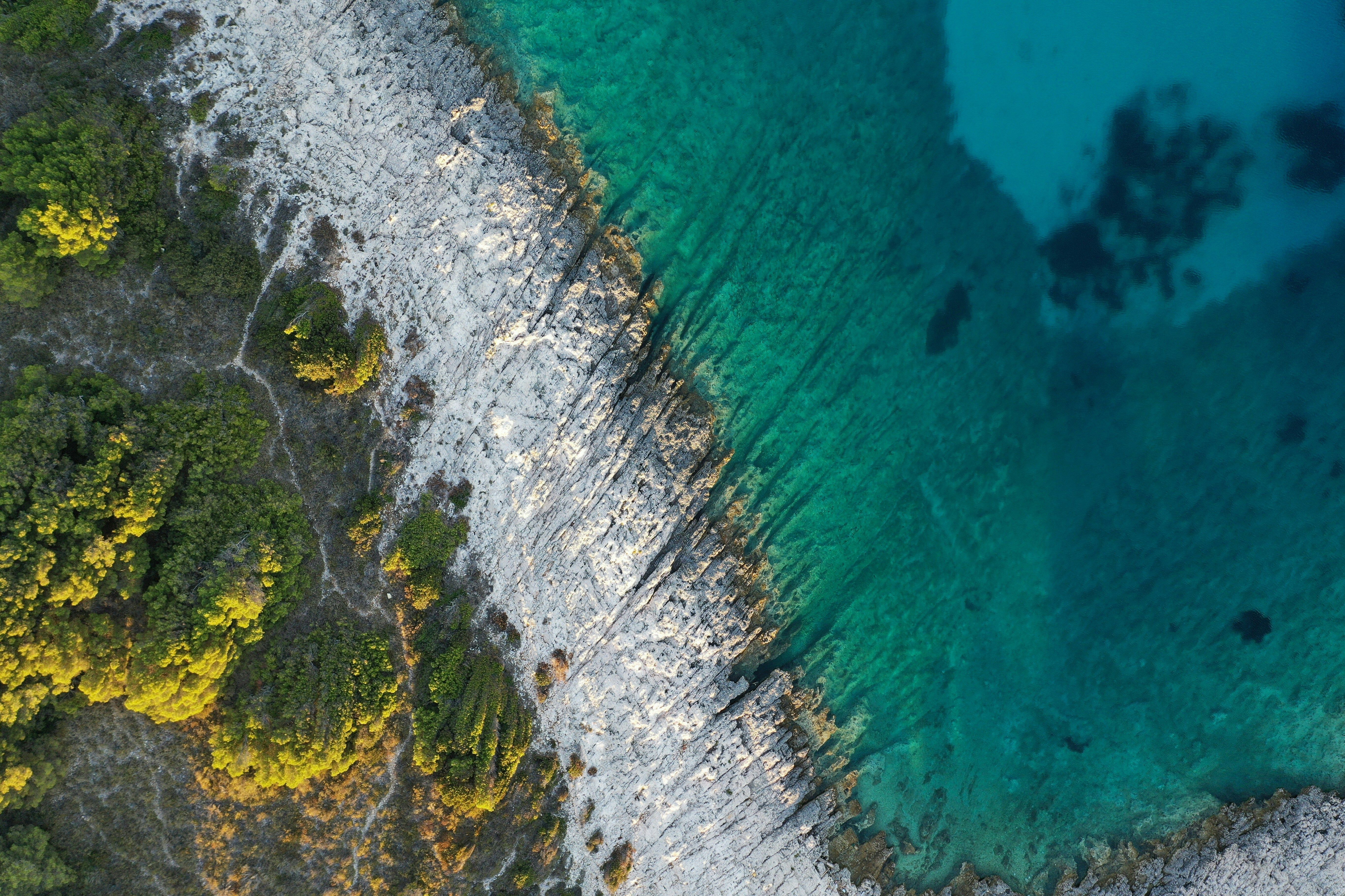 littoral avec eau turquoise sable blanc et foret