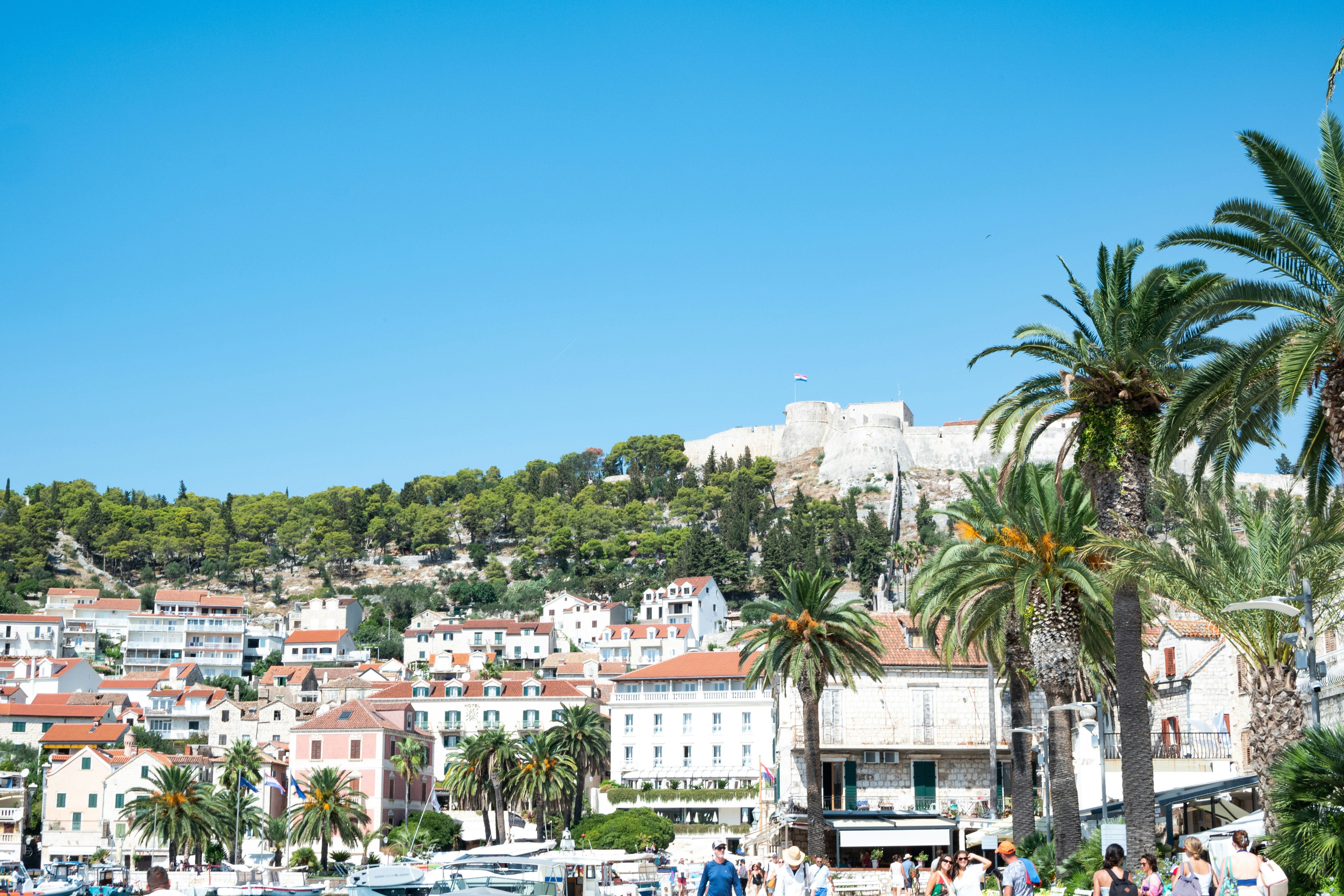 ville avec palmiers et chateau en pierre en haut d'une colline