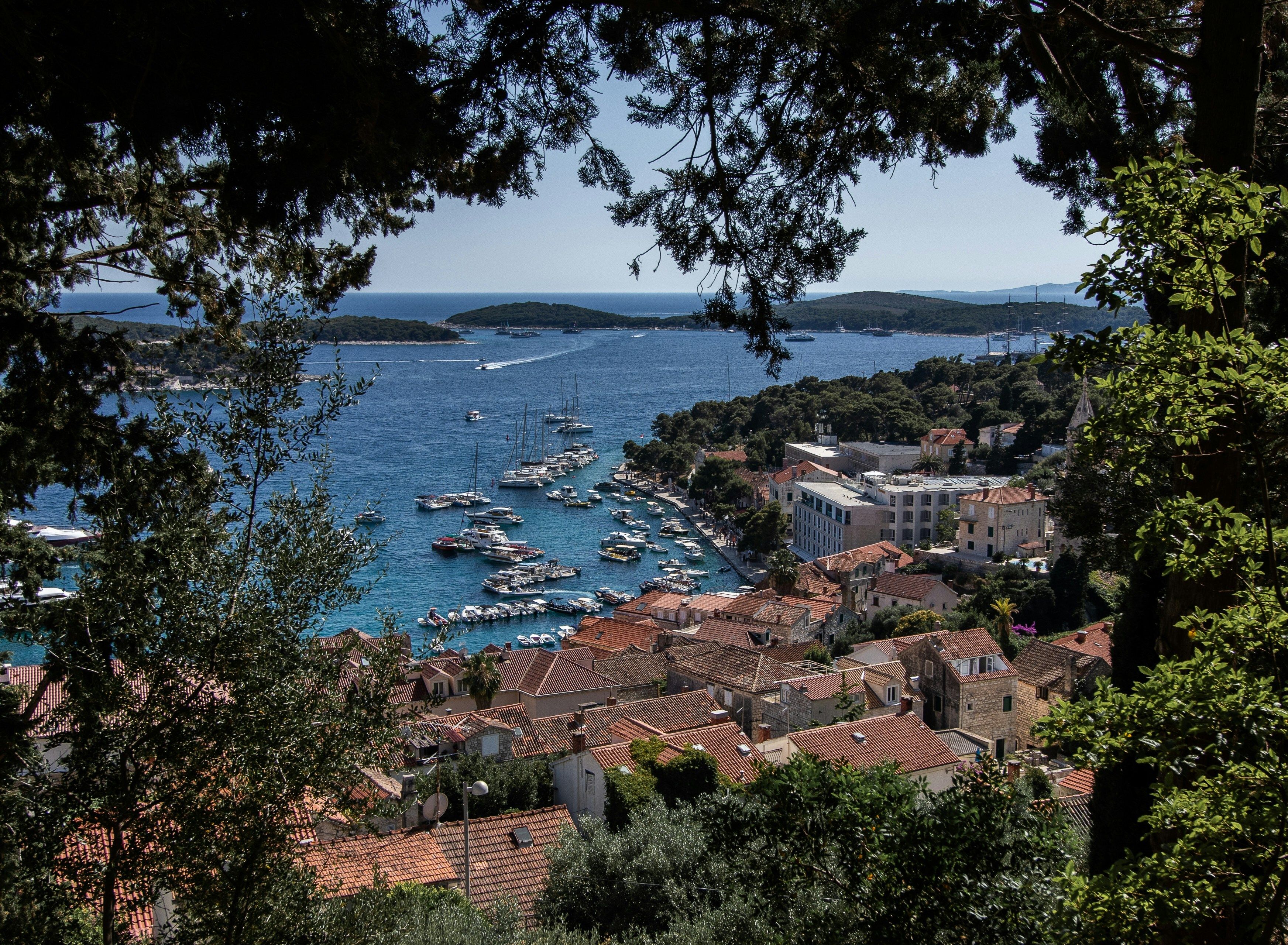 vue plongeante sur arbres batiments et marina avec bateaux au fond