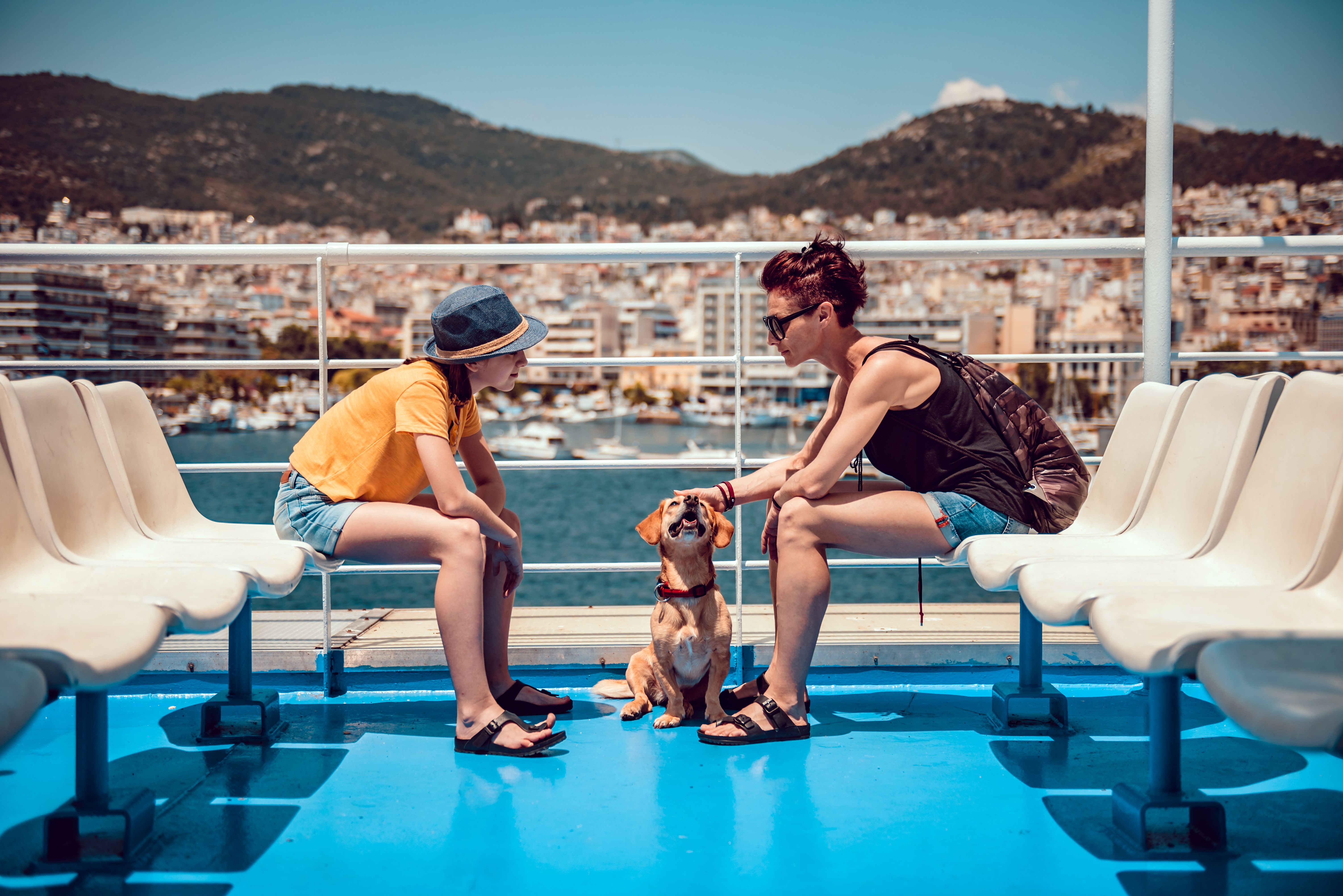 family with a pet on board a ferry