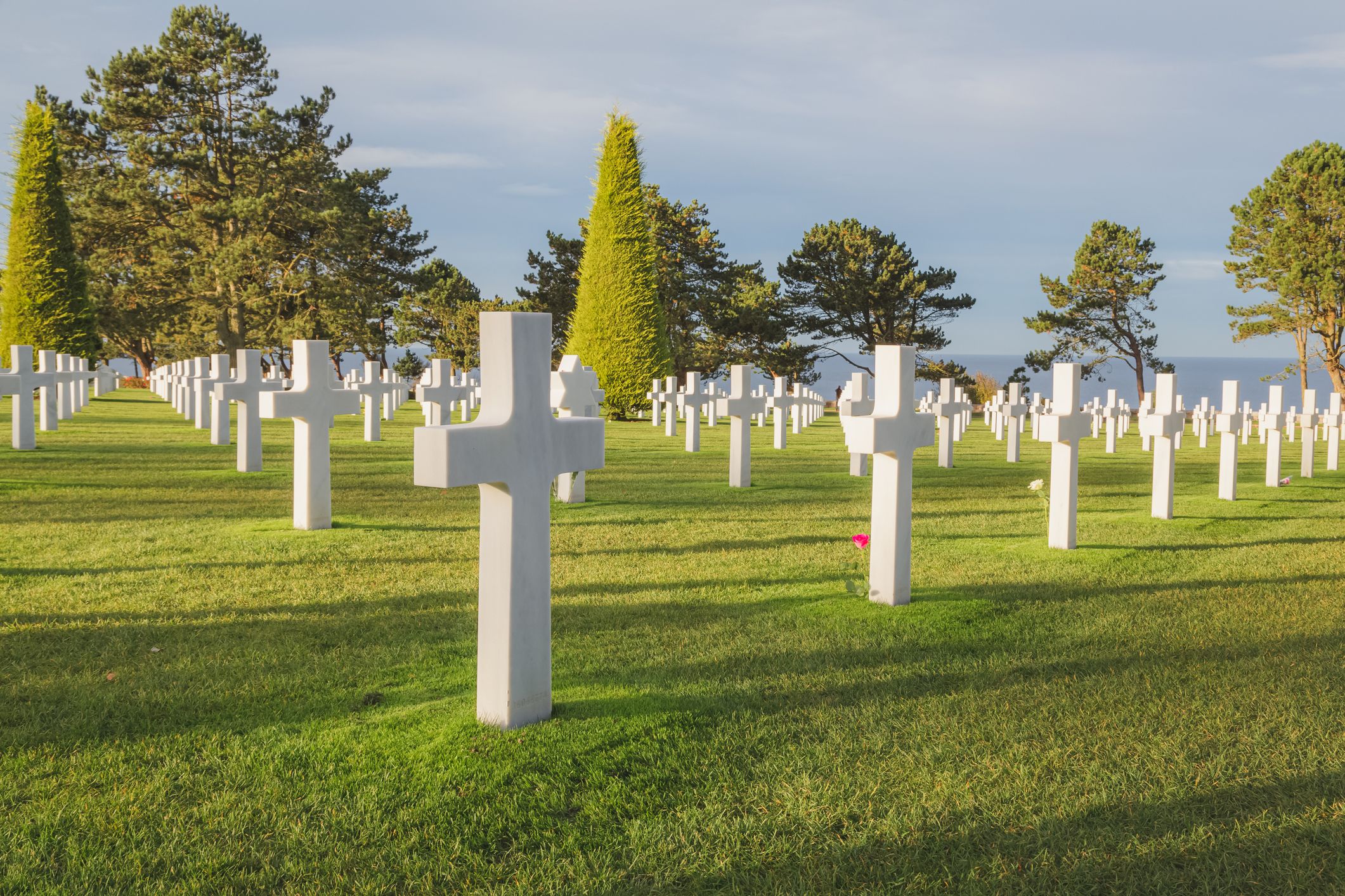 iStock-1294496310.jpg